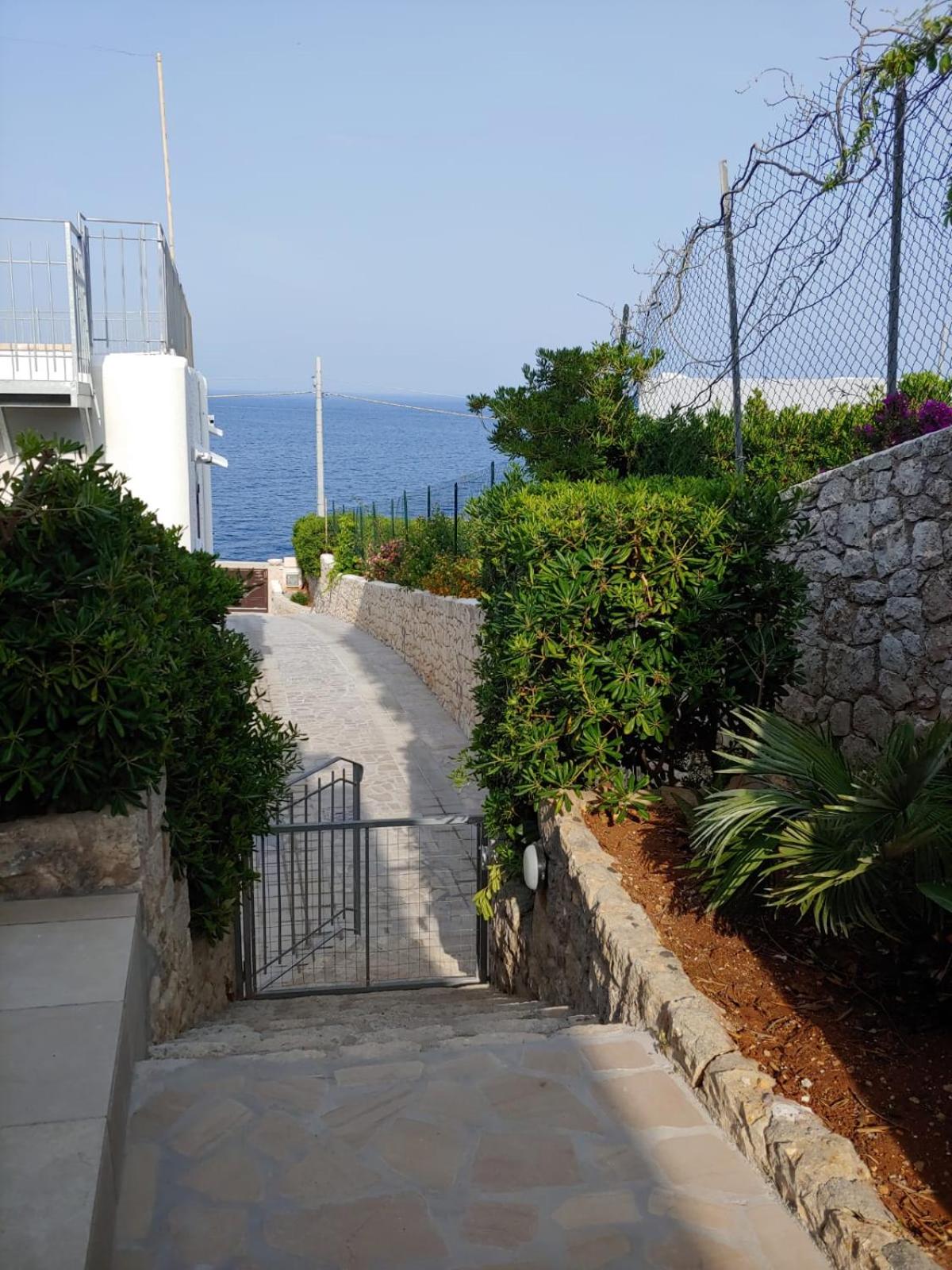 Villa Antonio&Rosanna - Salento Selection view 4