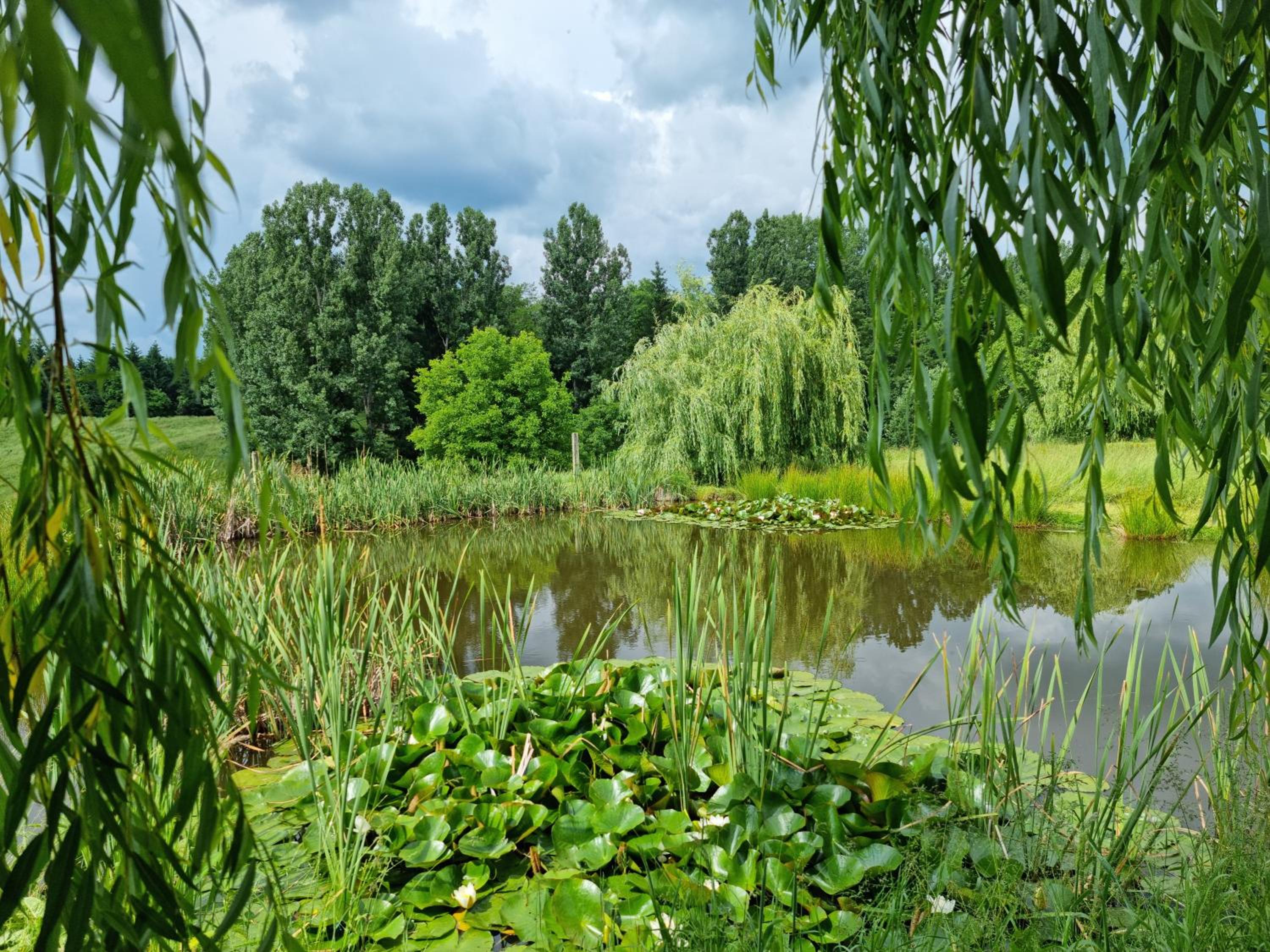 Photo 24