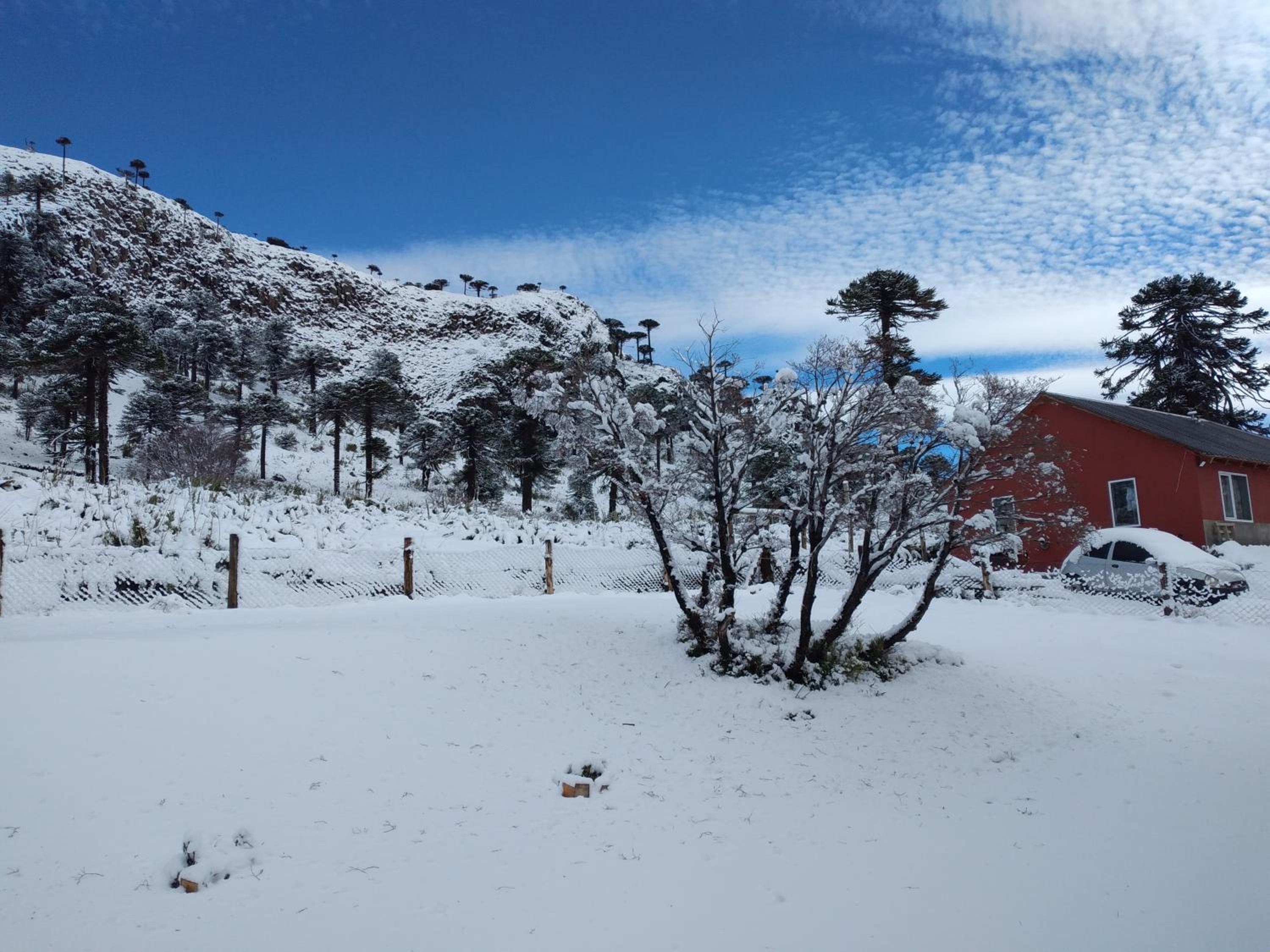 Del Sendero Caviahue