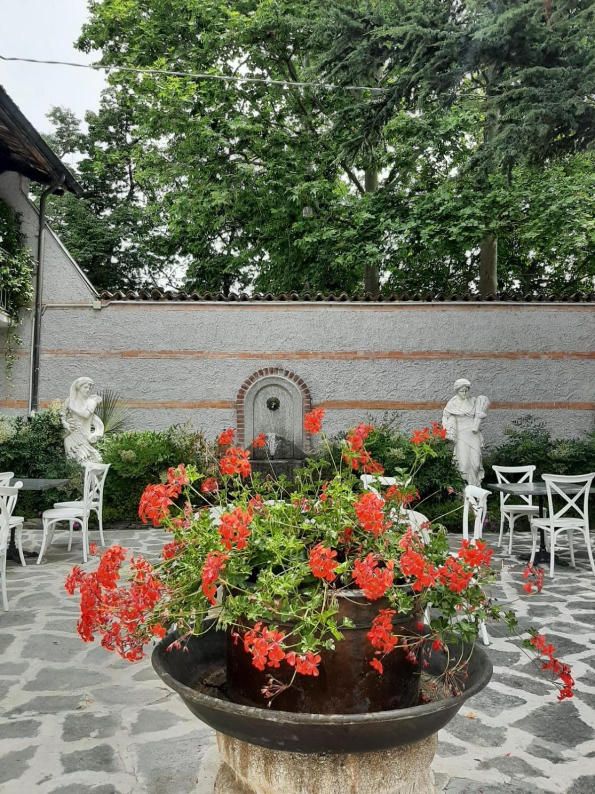 Photo 24