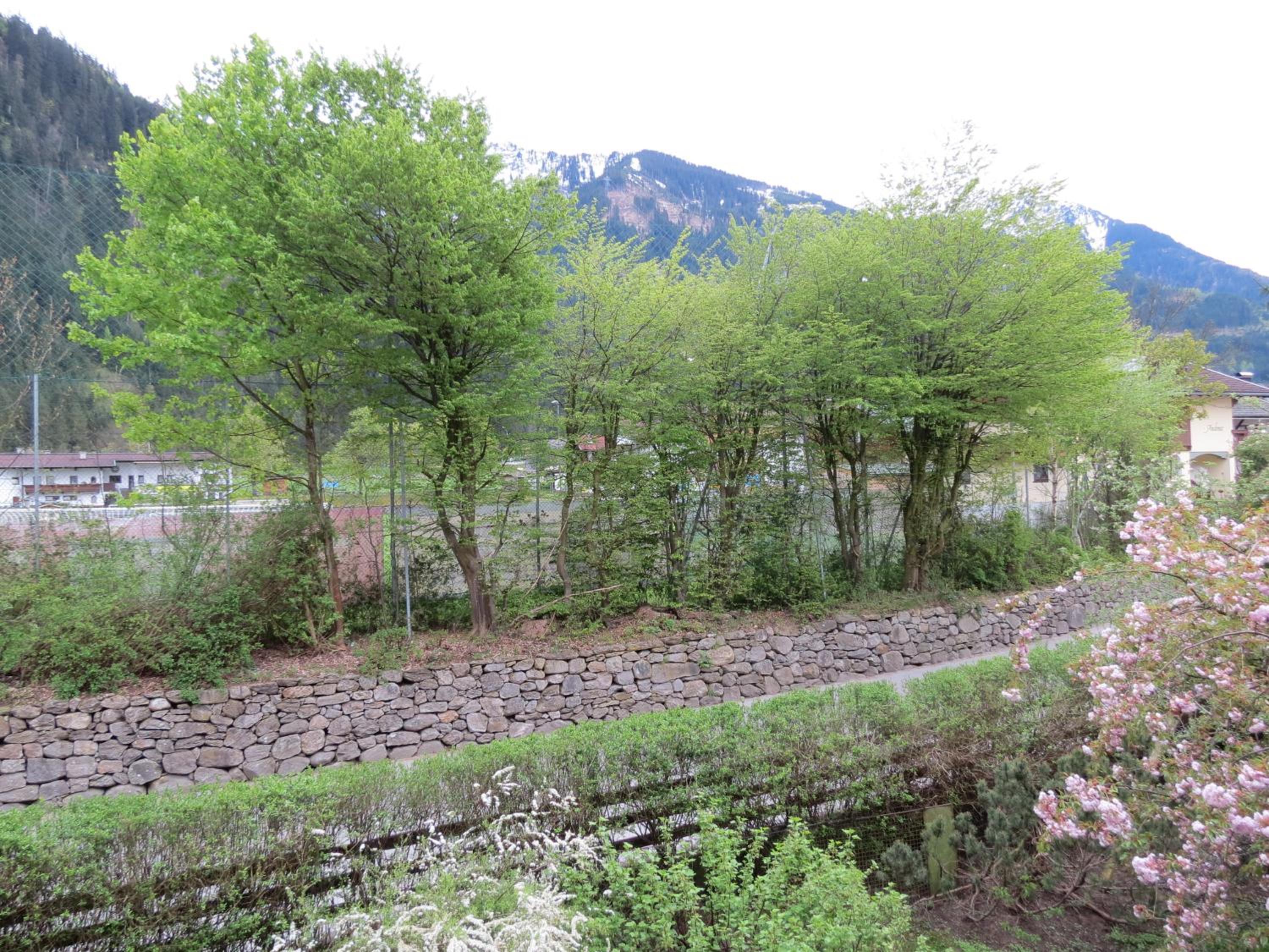 Photo 26