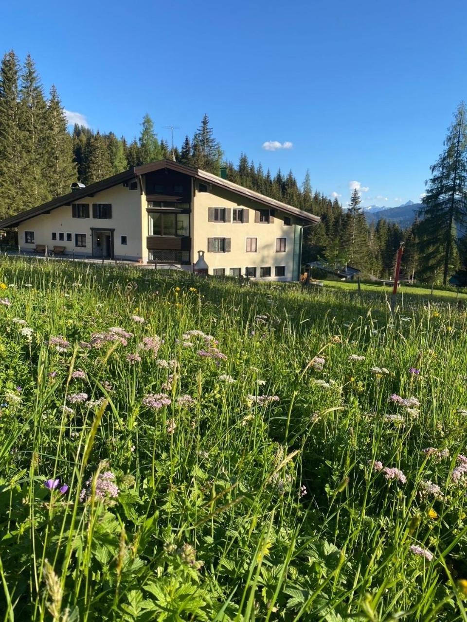 Appartementhaus Hochkönig - Panoramablick