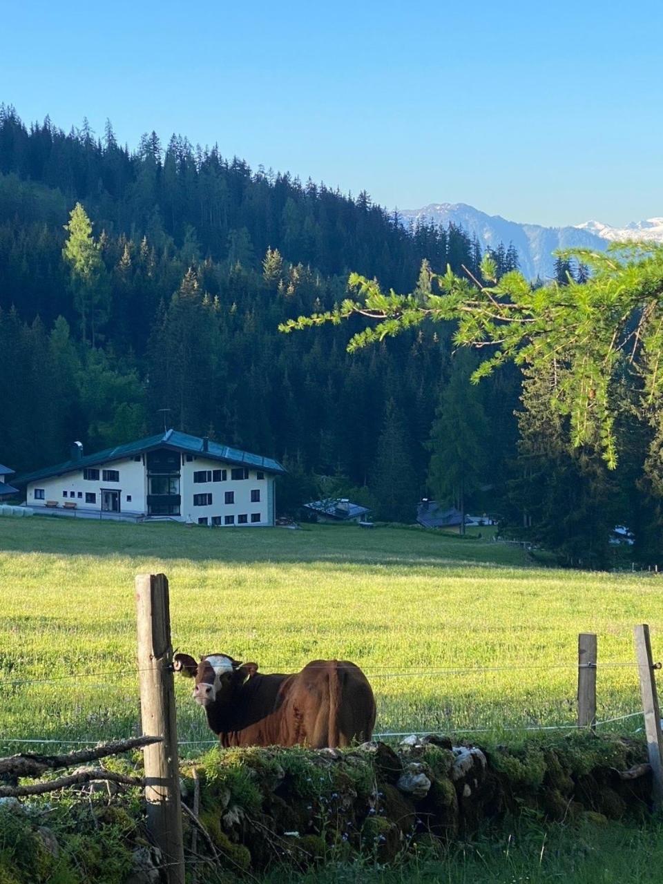 Appartementhaus Hochkönig - Panoramablick