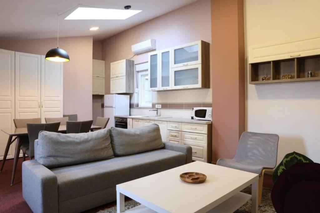 Belgrade Center Apartment Nusiceva