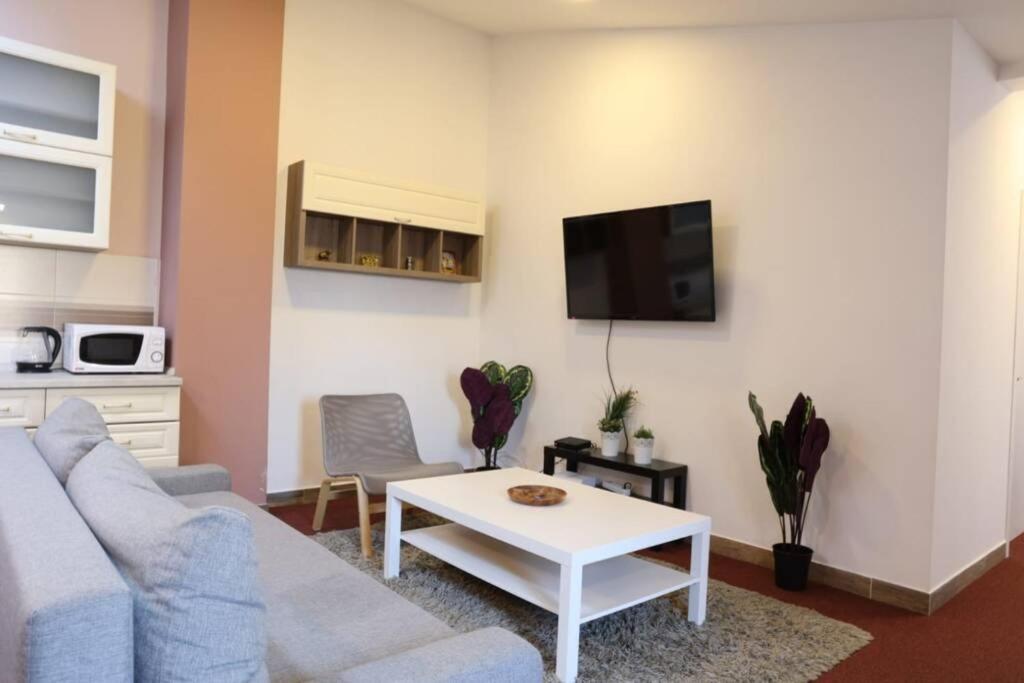 Belgrade Center Apartment Nusiceva