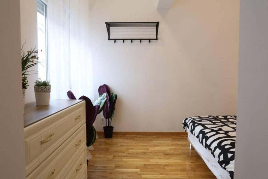 Belgrade Center Apartment Nusiceva