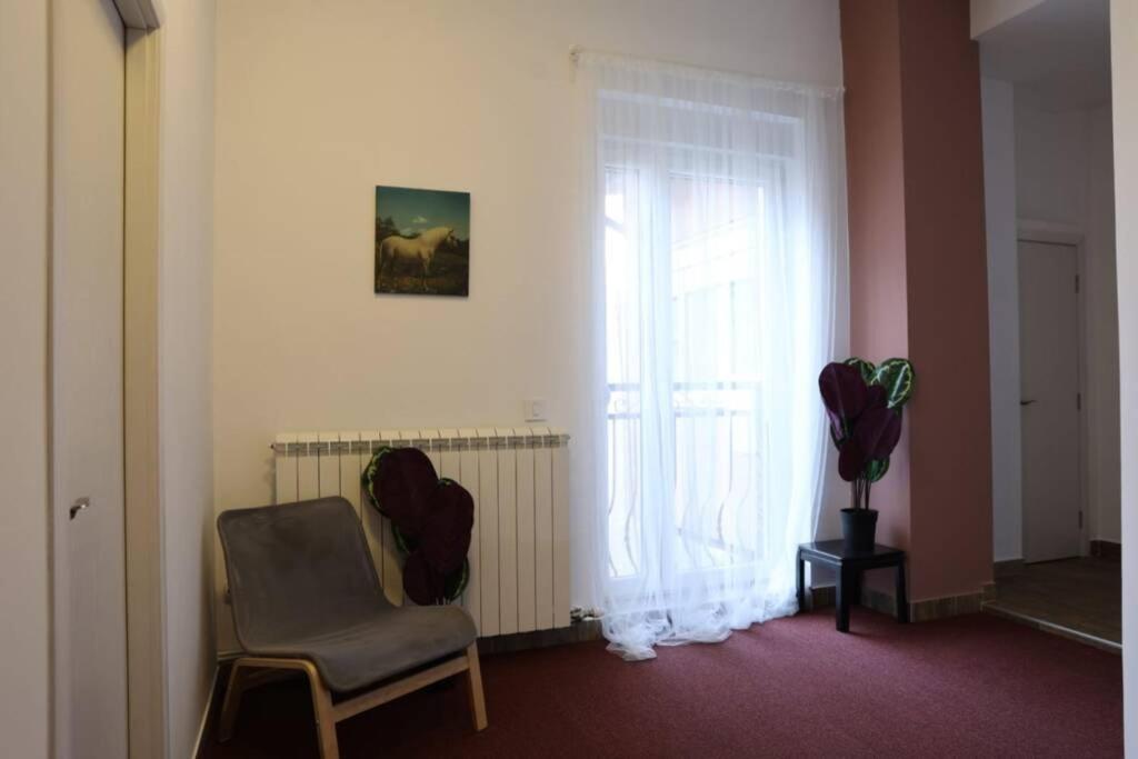 Belgrade Center Apartment Nusiceva