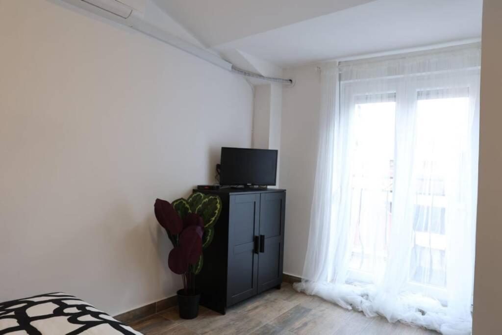 Belgrade Center Apartment Nusiceva