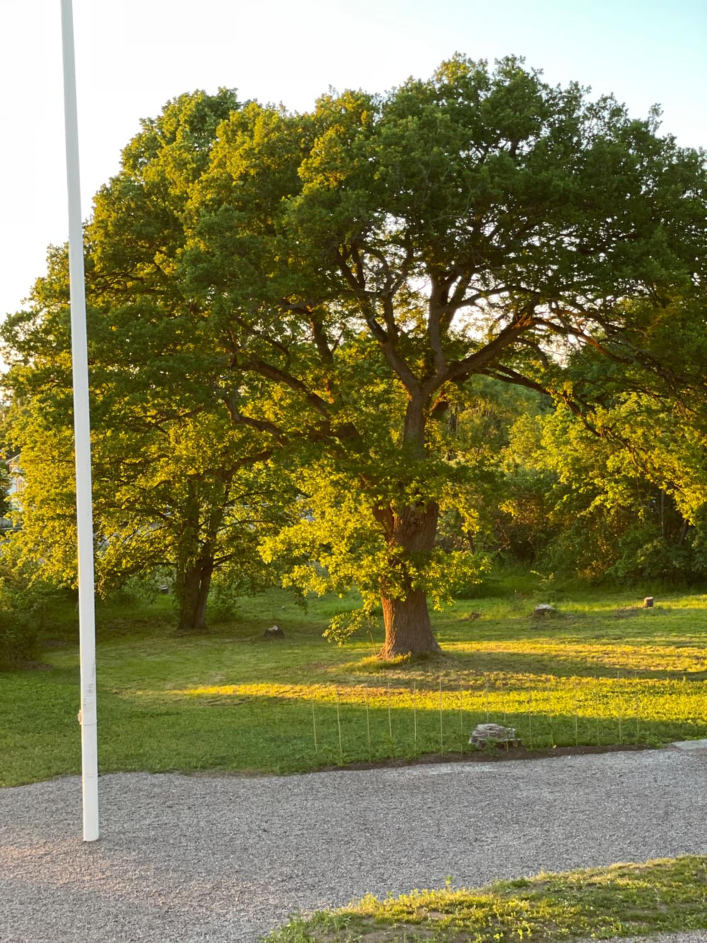 Rosenfors Herrgård B&B