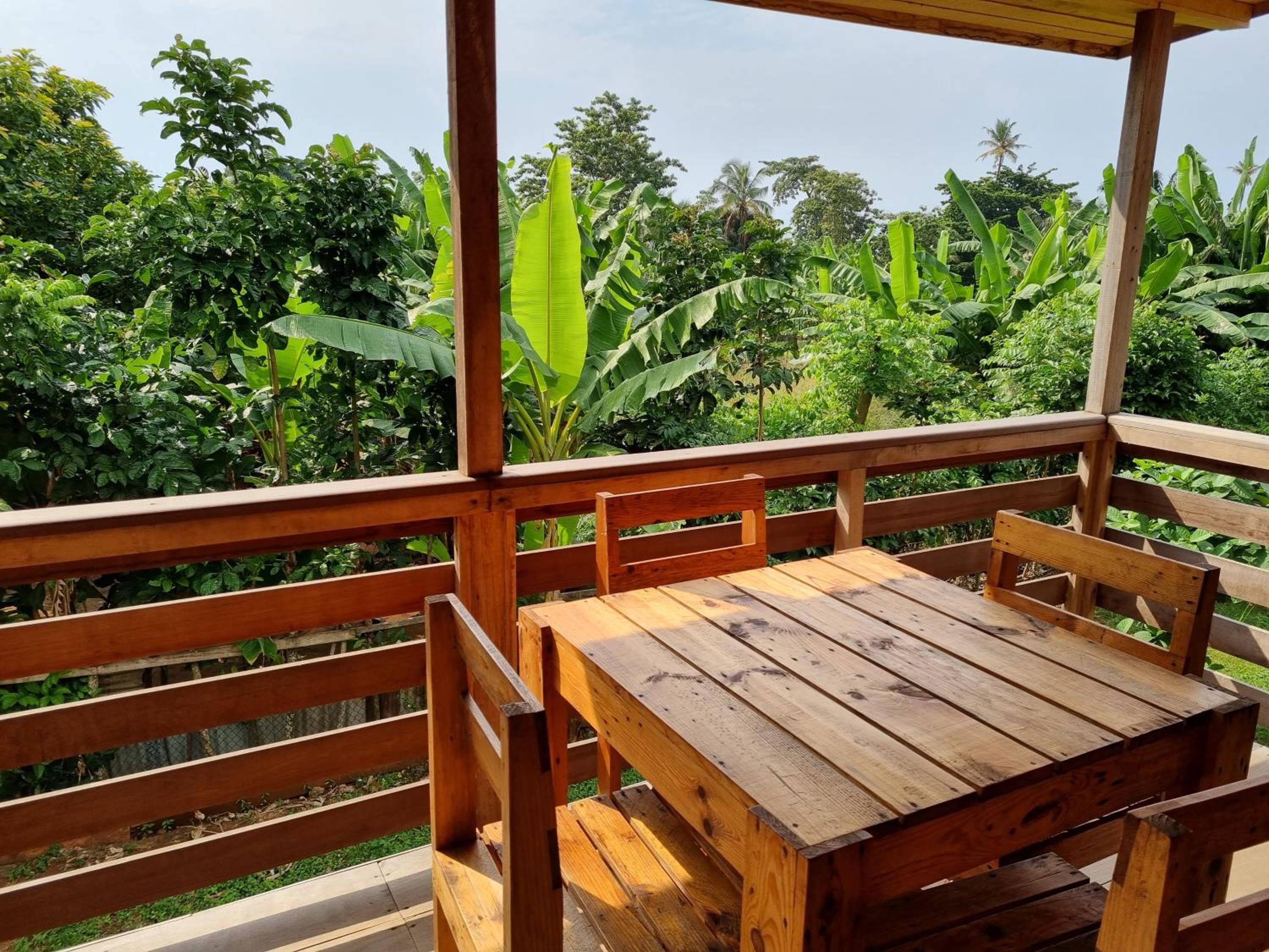 Jo's Nature Cabin view 5