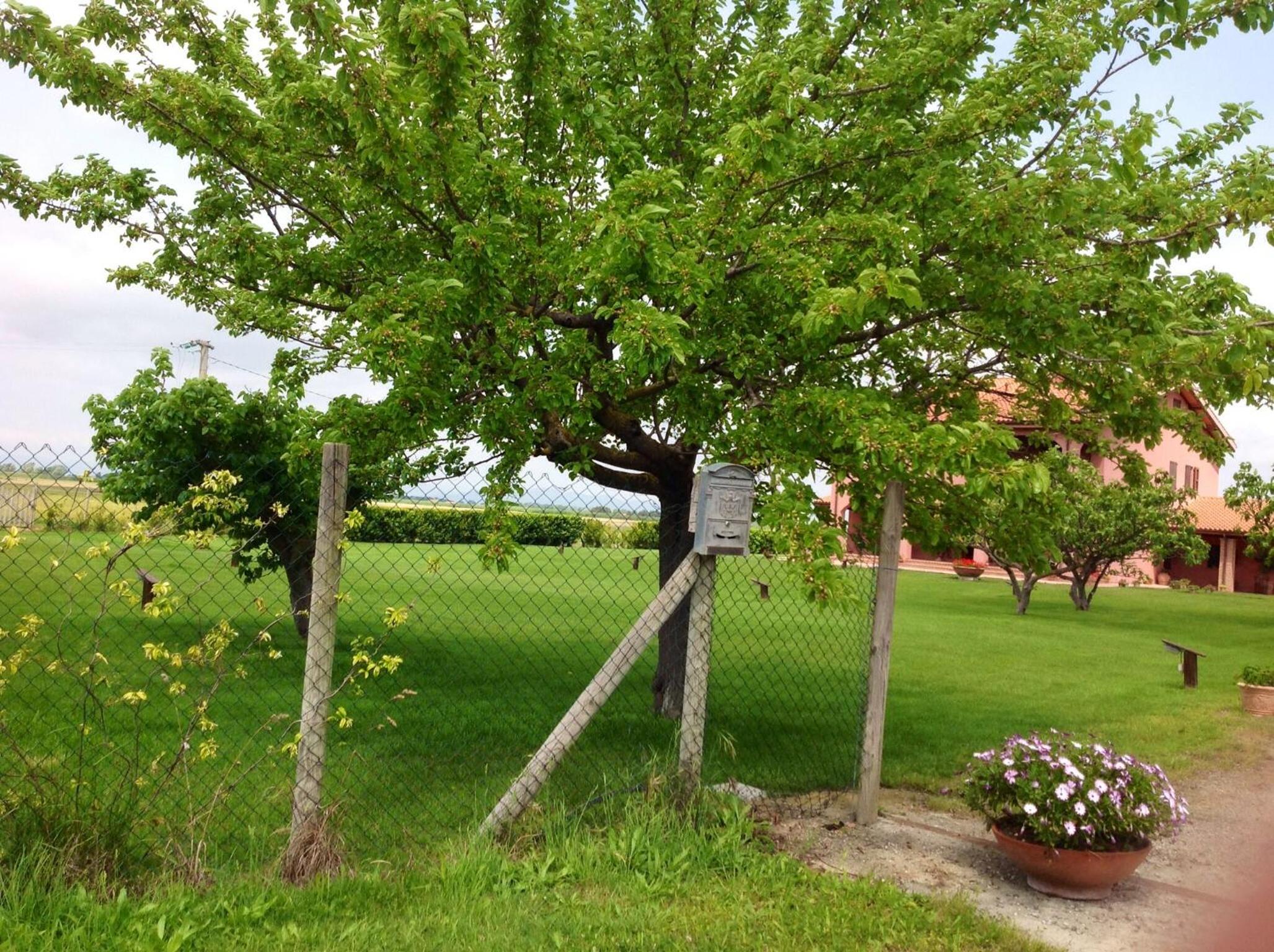 Agriturismo Podere Cirene