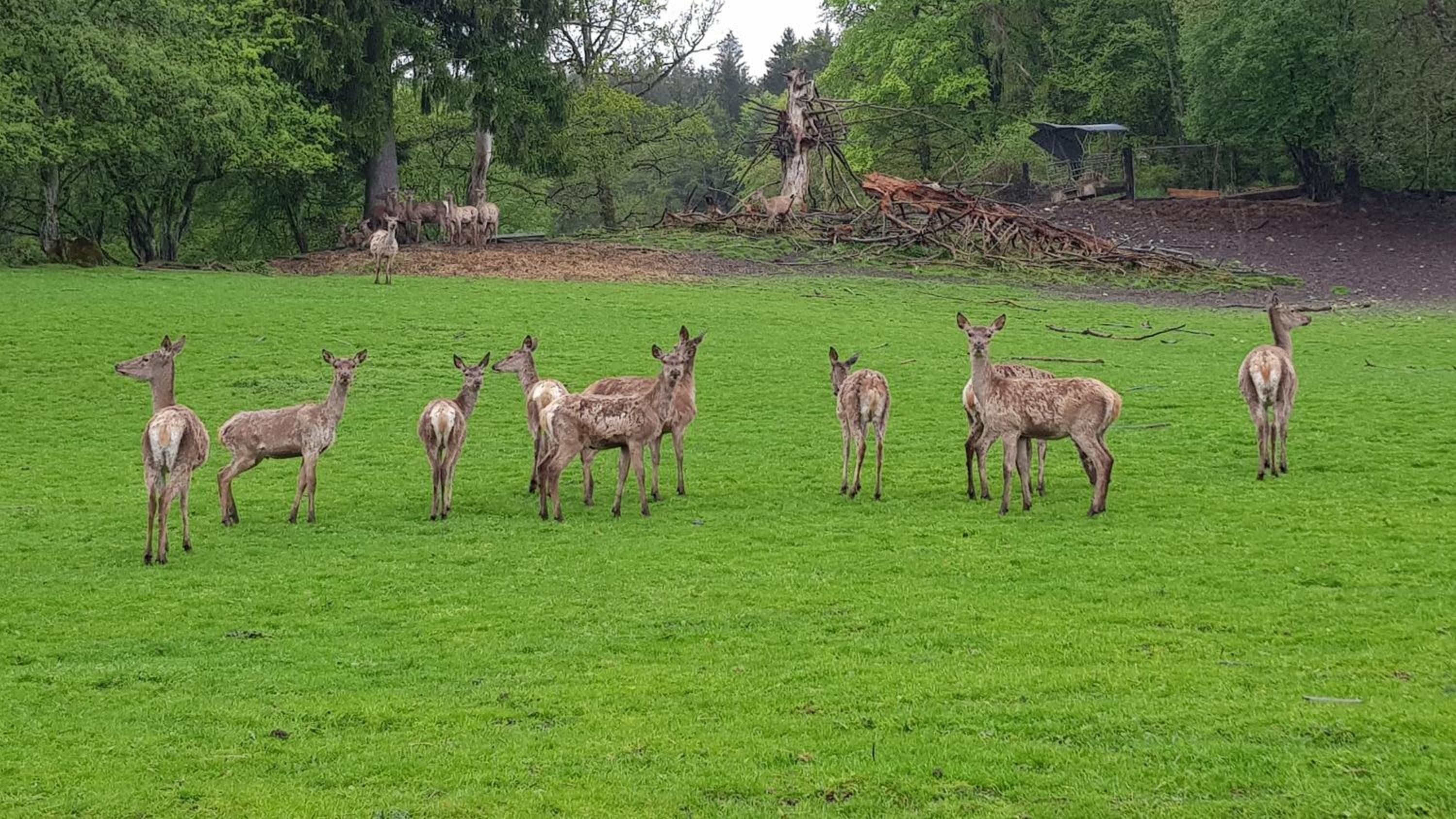 Ferienwohnung im Gartenparadies