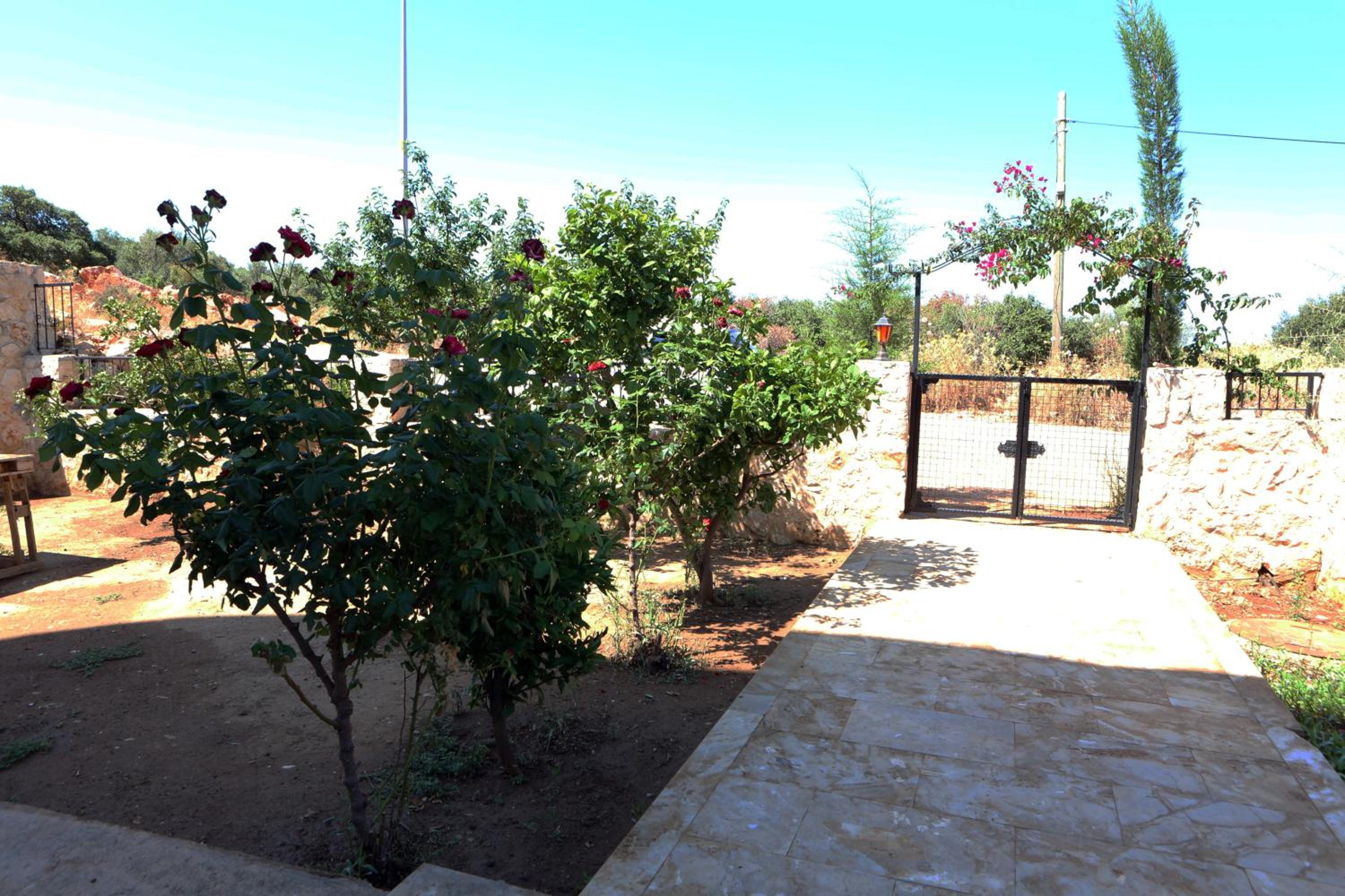 Photo 18