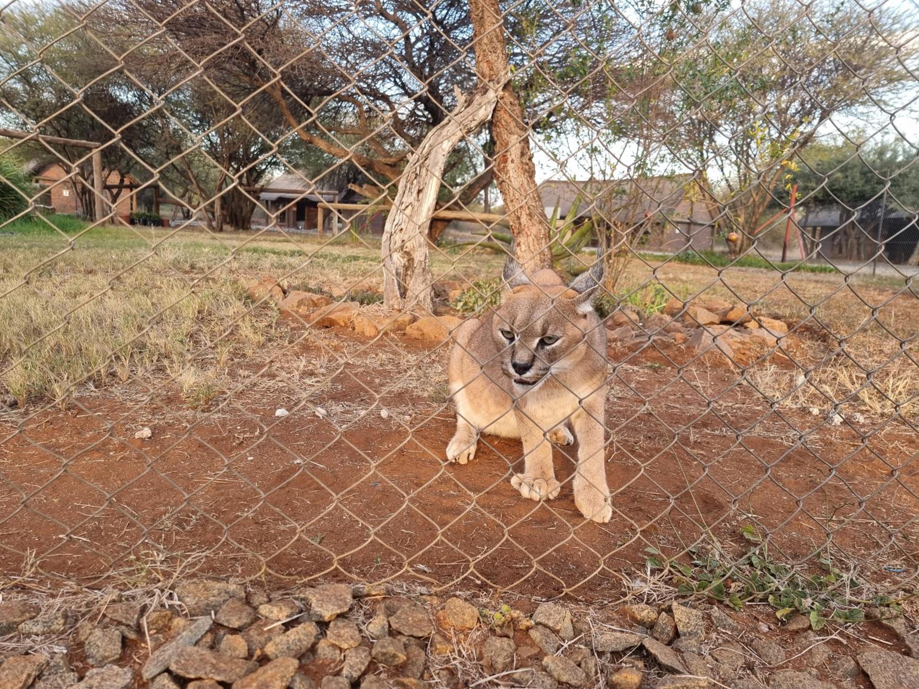 Sundowners Game Lodge