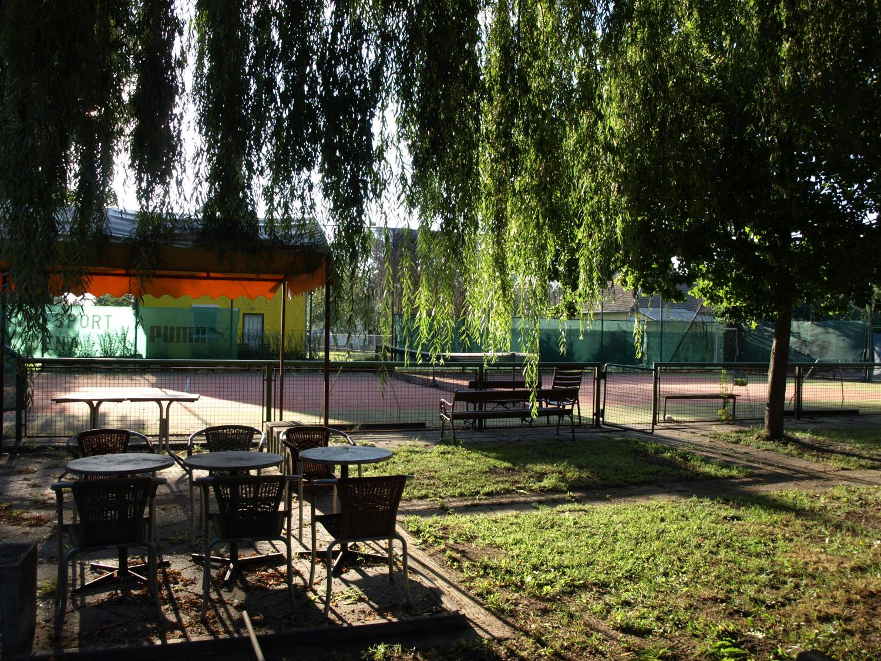 Photo 46