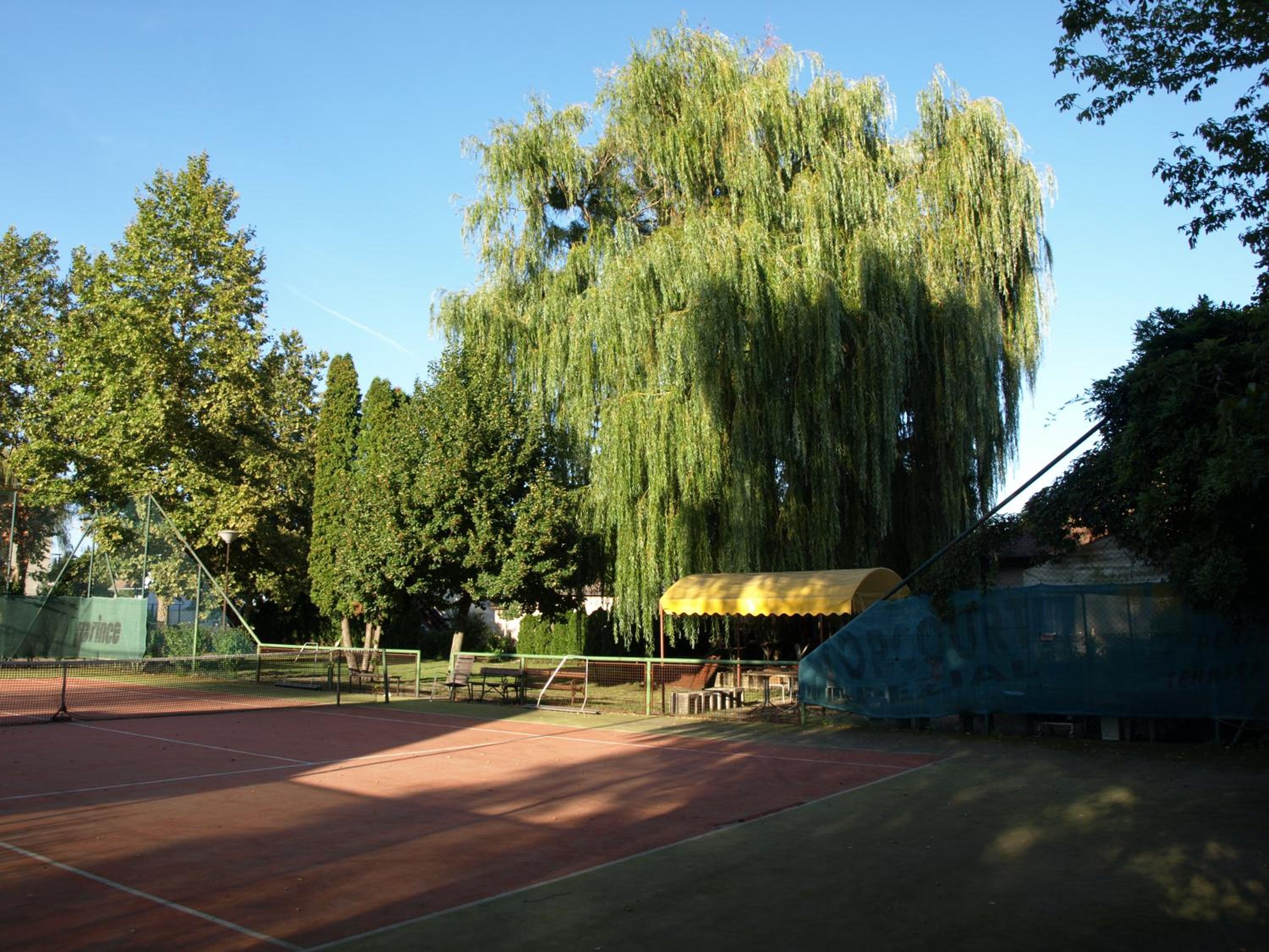 Photo 45