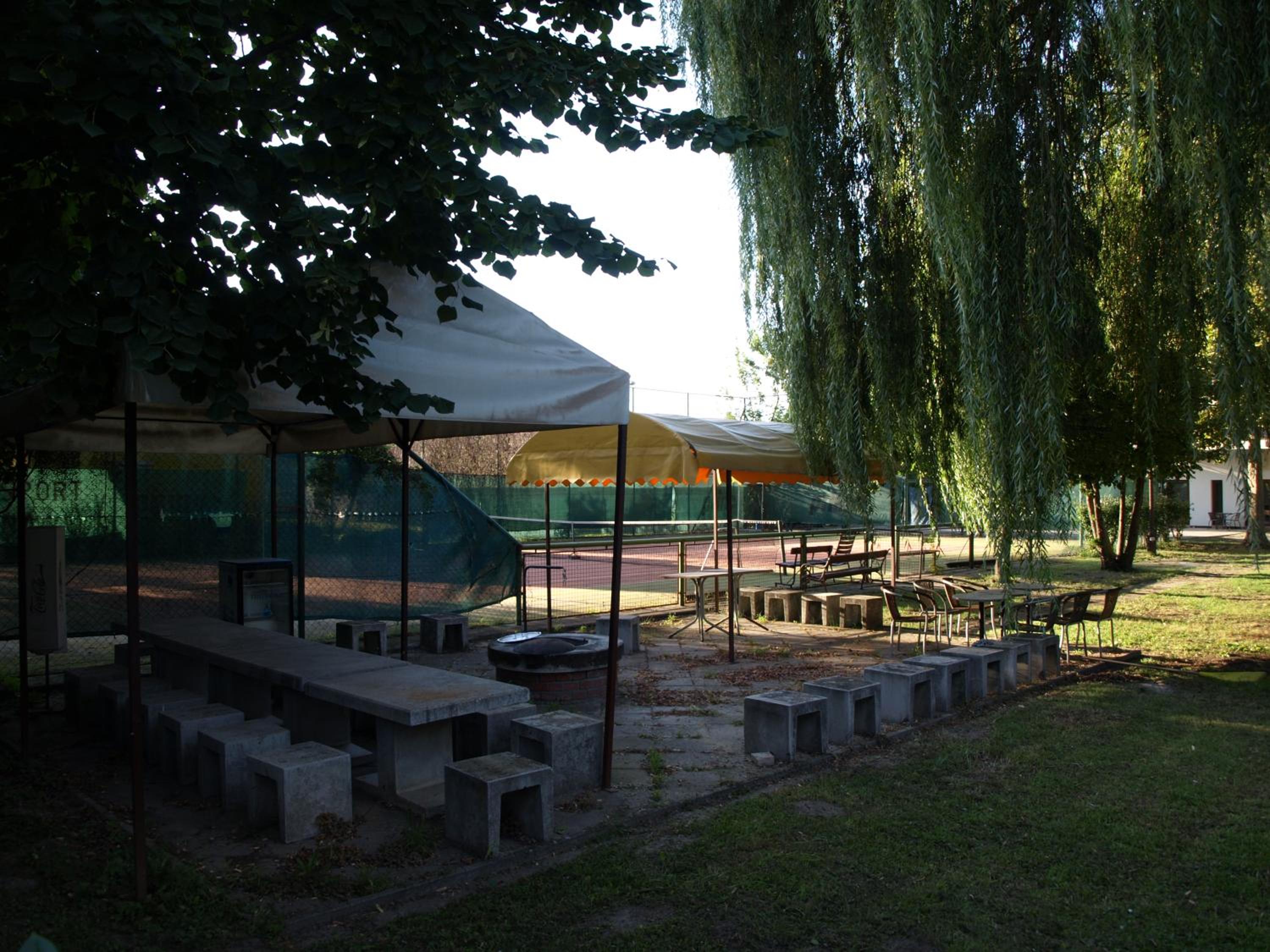 Photo 44
