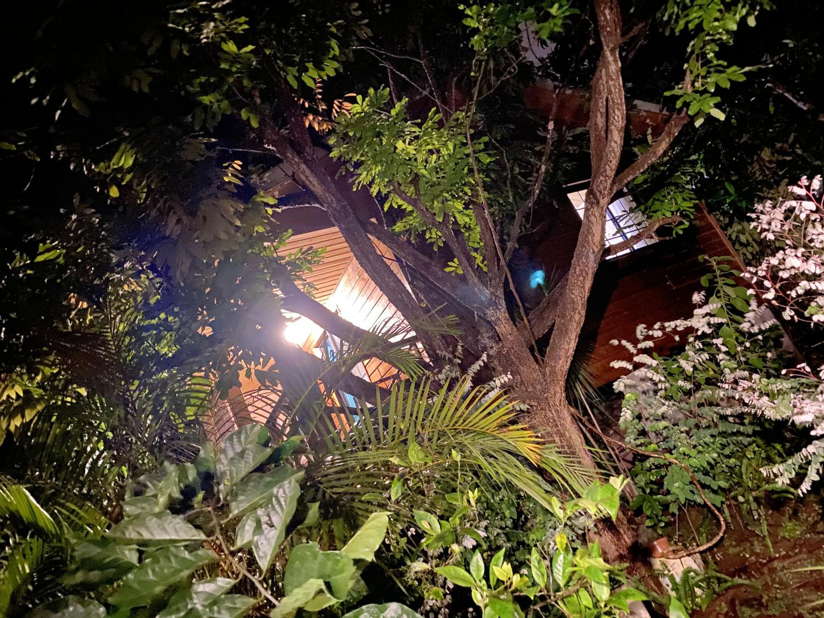 Chalet pittoresque à Le Tampon, vue mont.