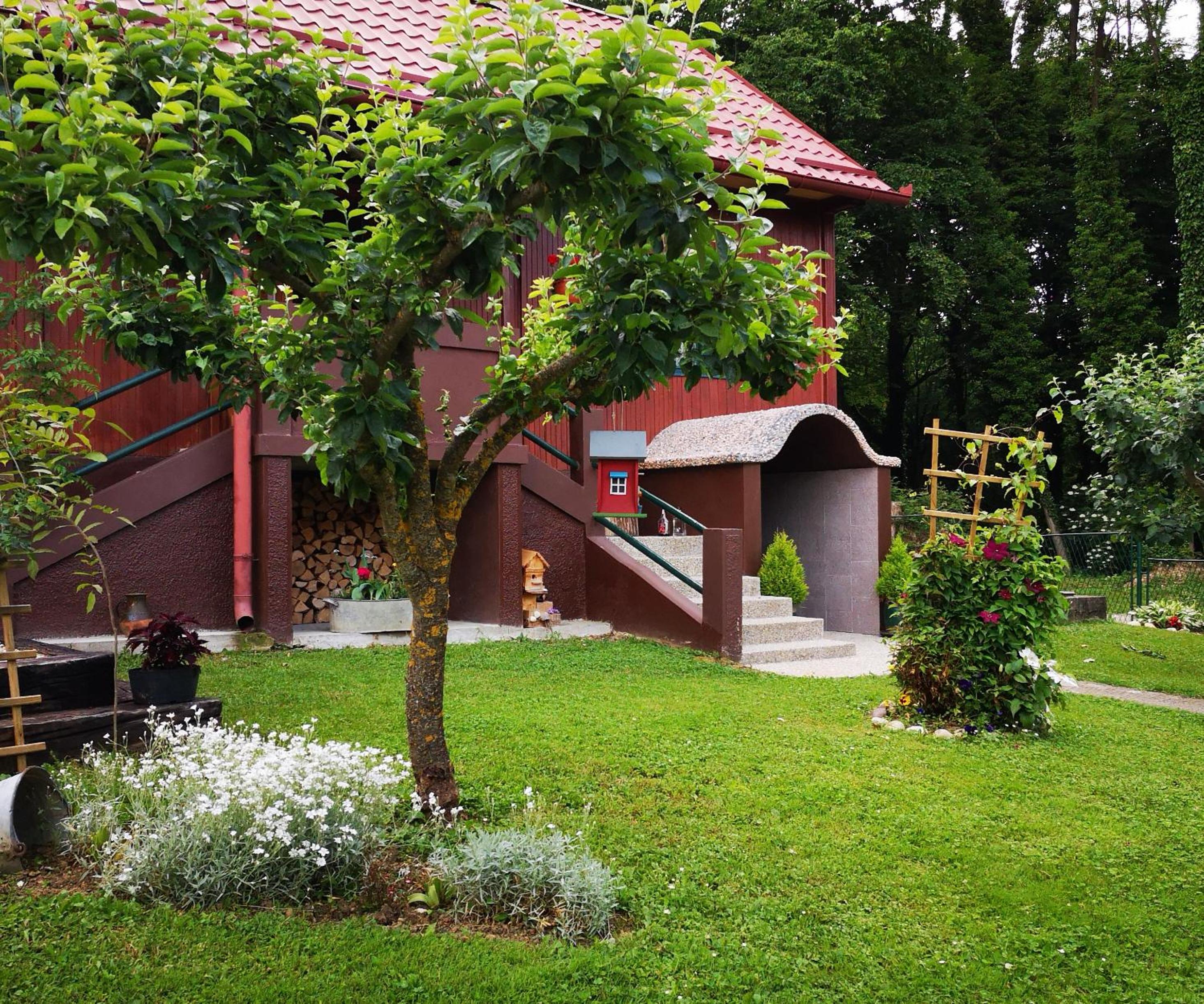 Photo 6