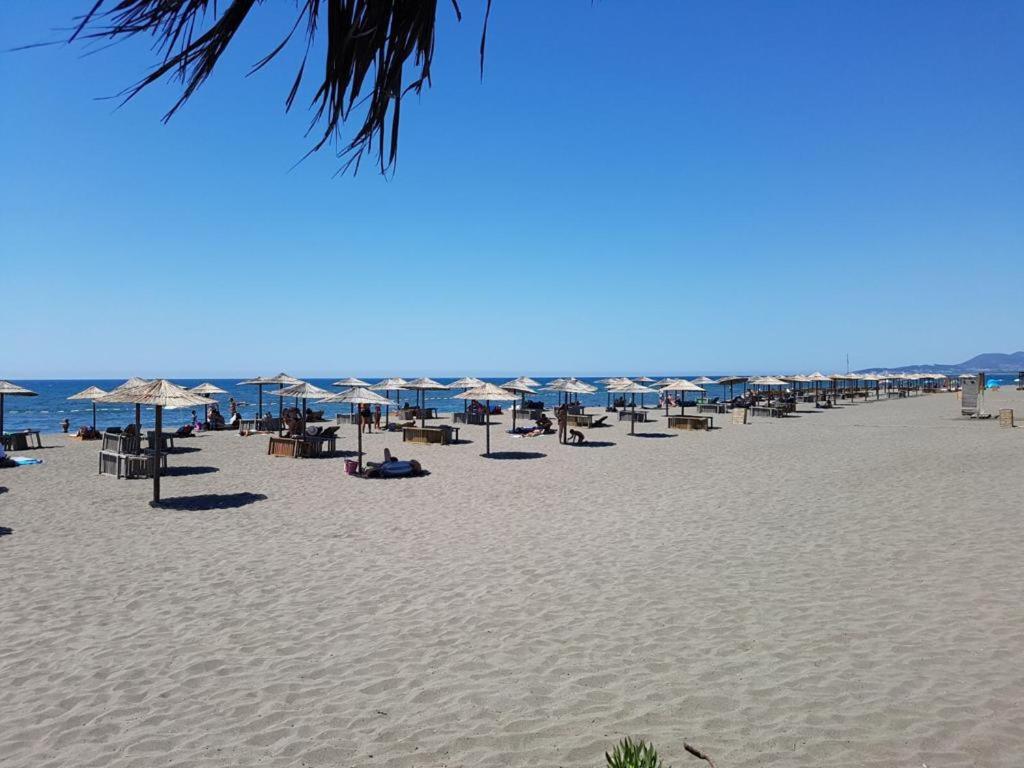 Apartments Beba Zalad