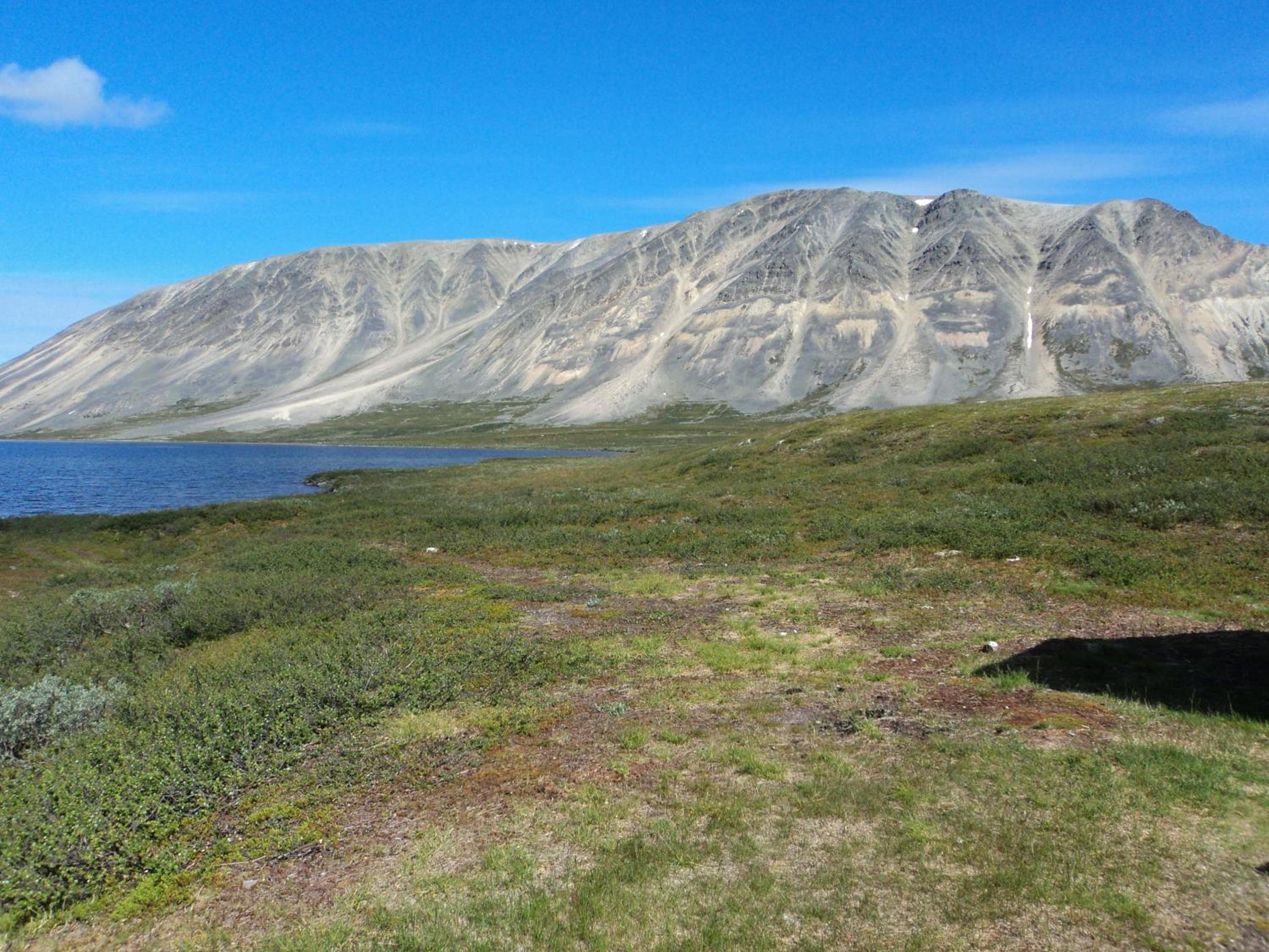 Photo 20