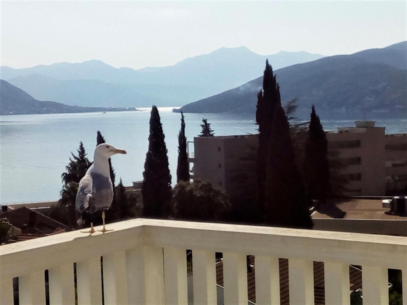 Villa Boka Sunrise Apartments