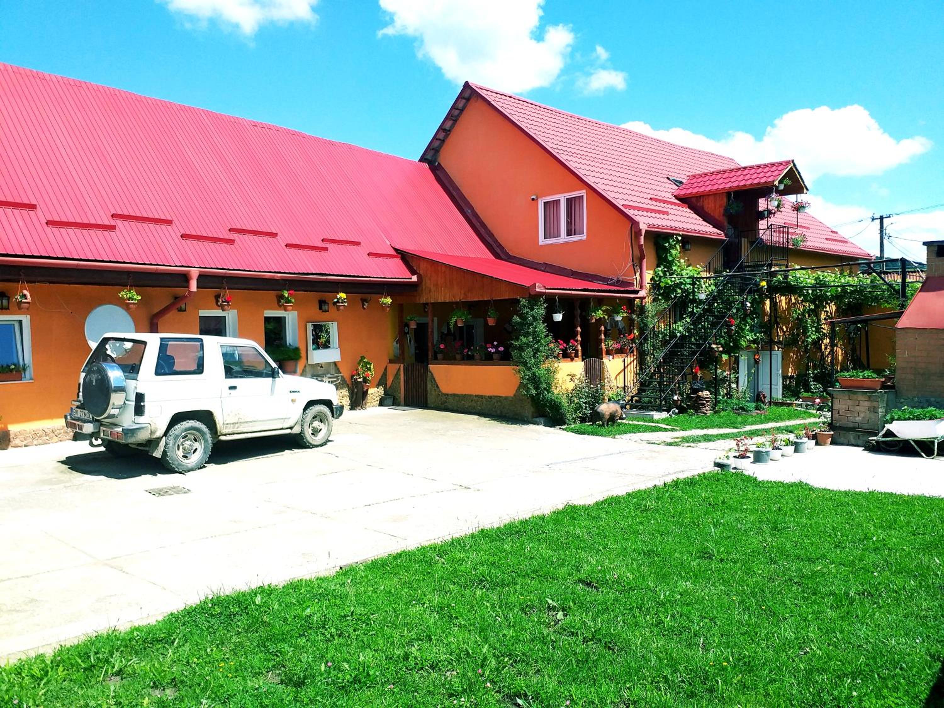Photo 44