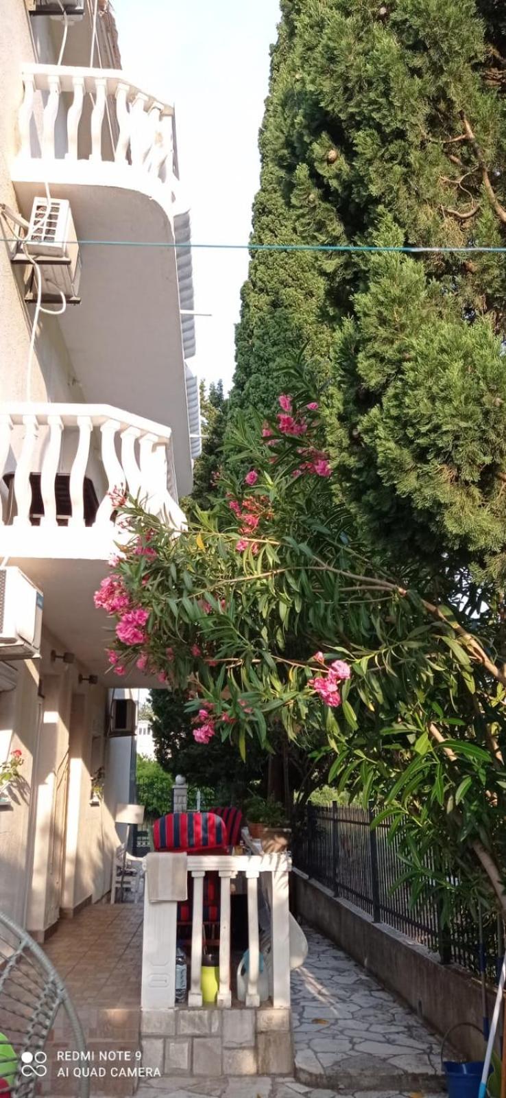 Apartments Beba Zalad