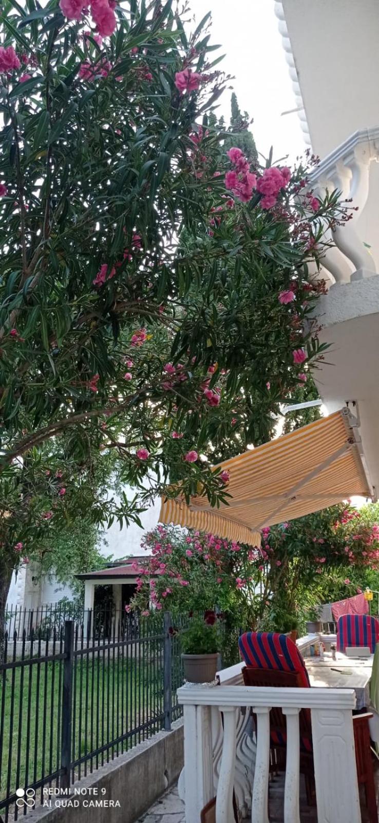 Apartments Beba Zalad