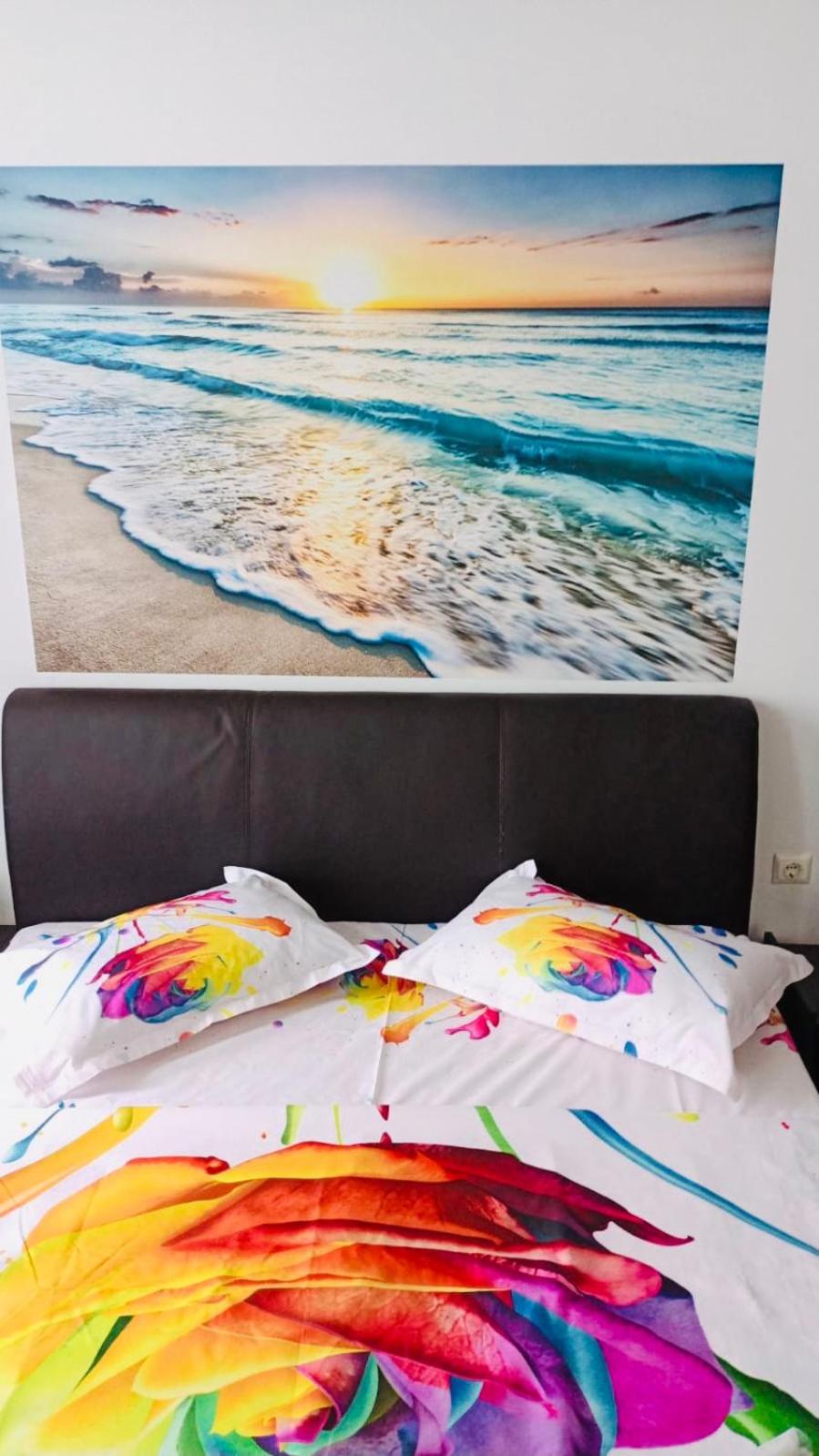 ANK Summerland Mamaia