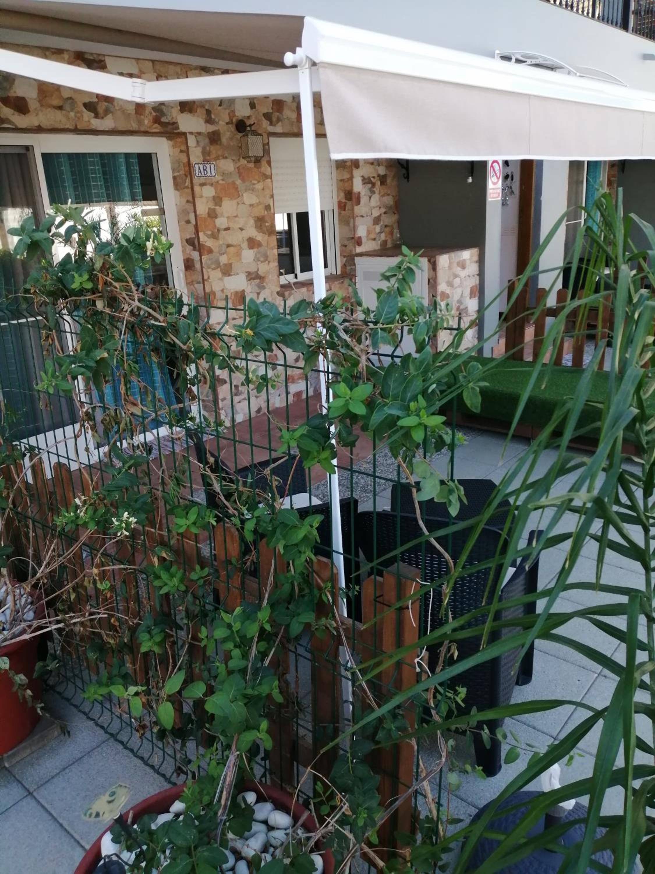 Photo 29