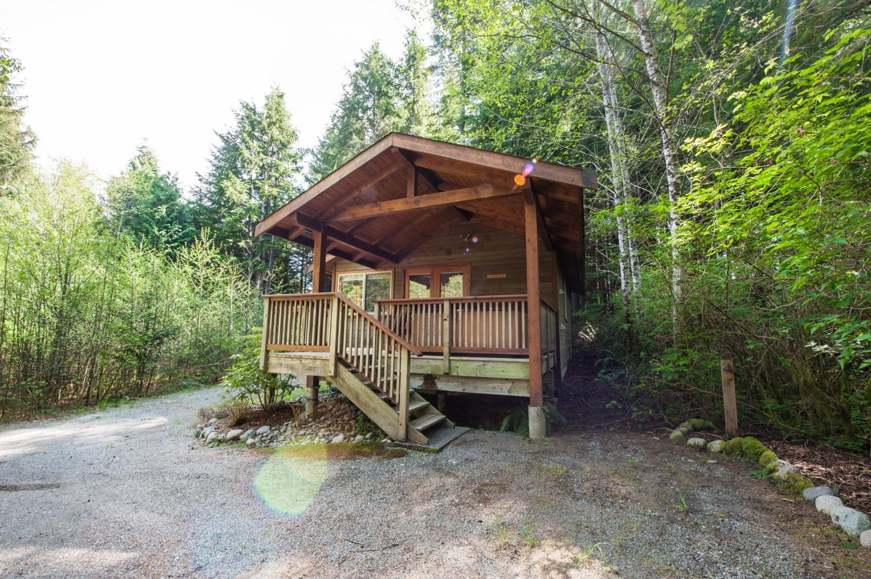Evergreen Forest Cabins