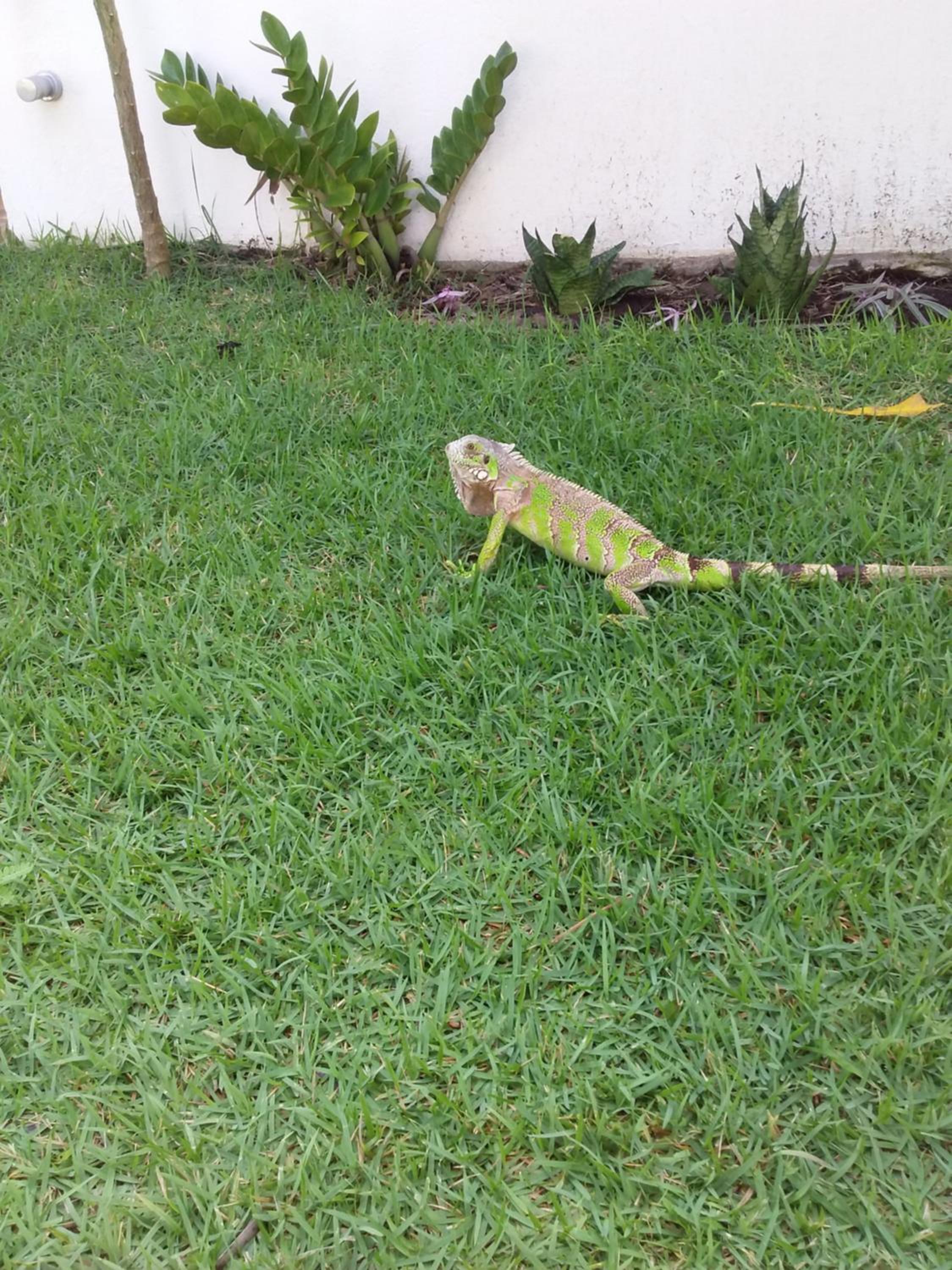 Suíte das flores em Guajiru