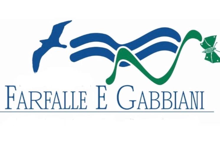 Farfalle e Gabbiani
