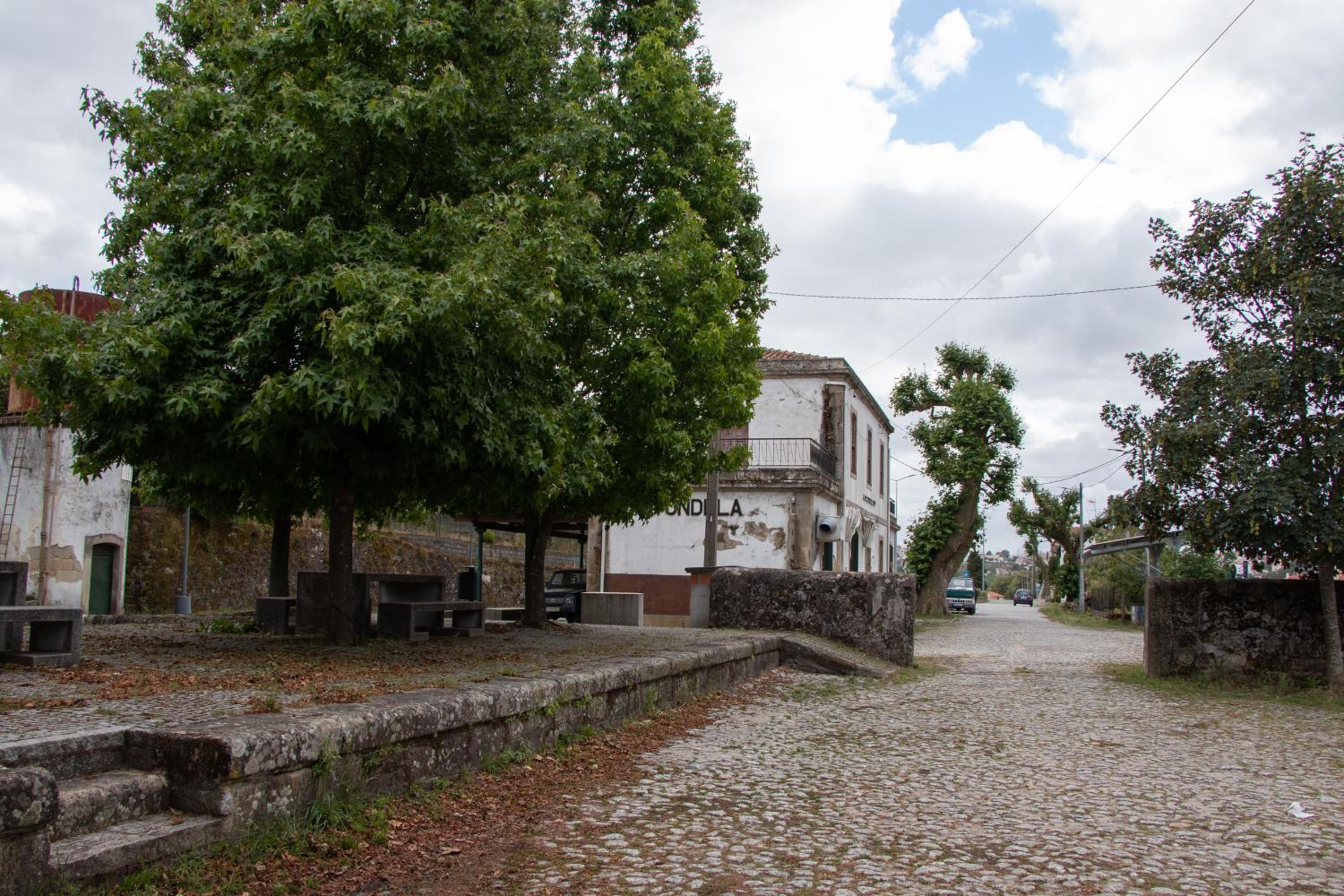 Photo 46