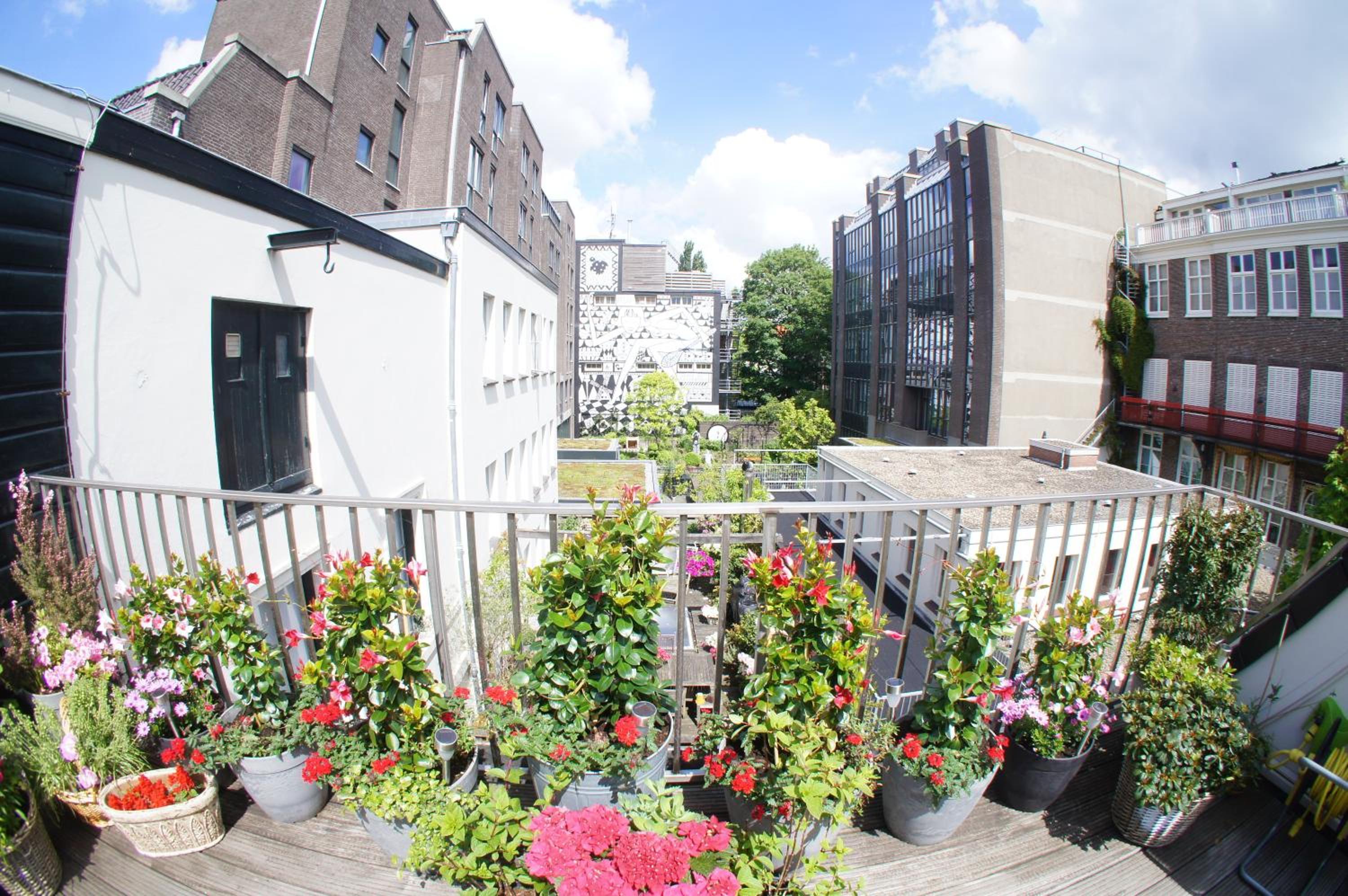 Prince On The Roof