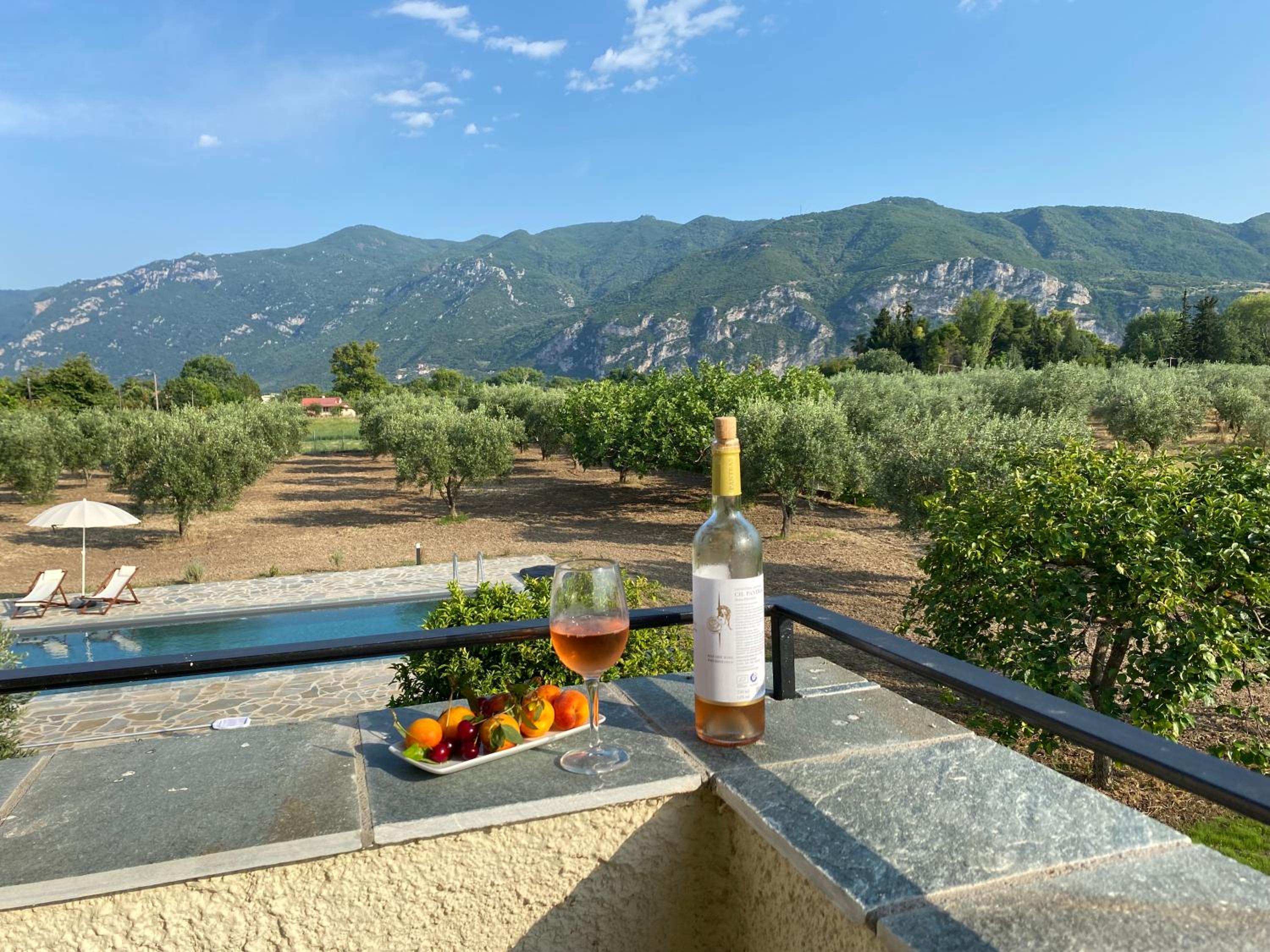 Villa Eleonas by the Sea with private pool view 3