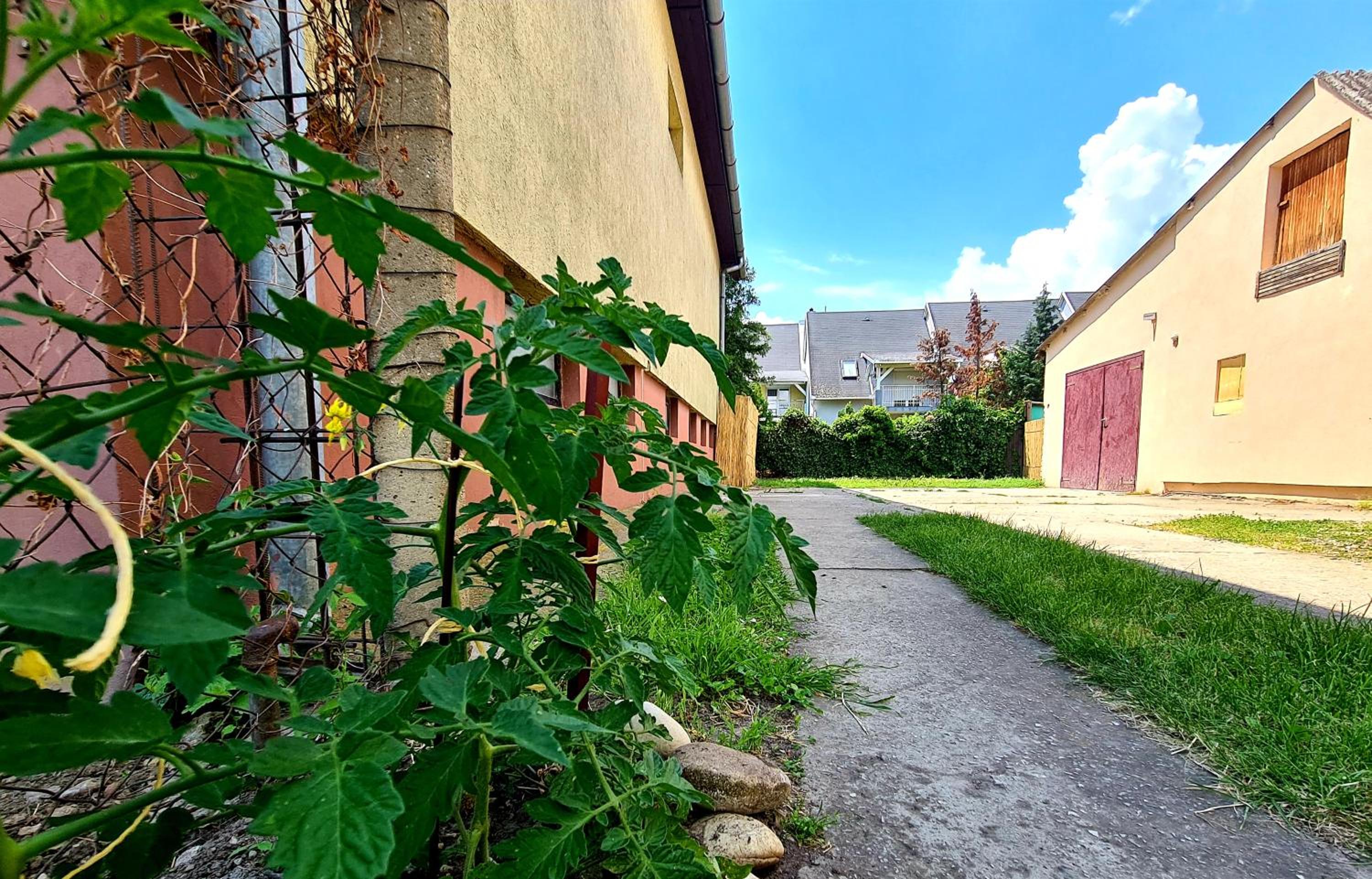 Photo 8