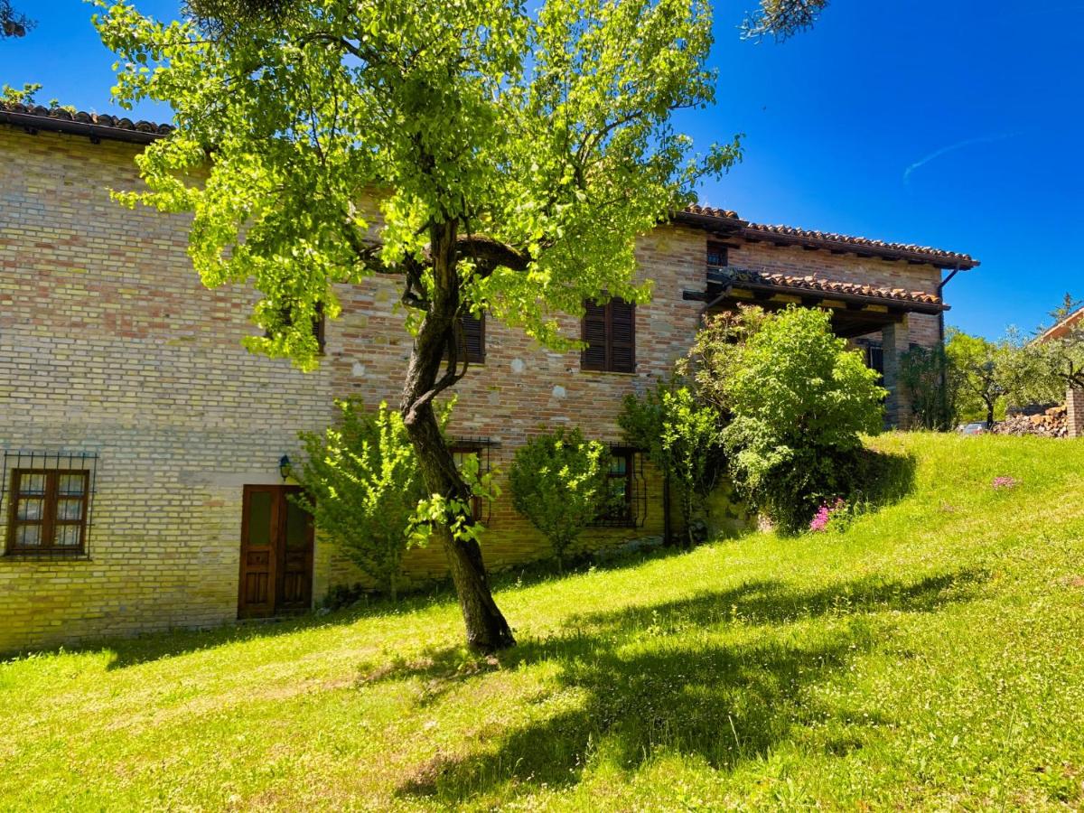 Villa Le Brugnolete - Appartamento Est photo 3