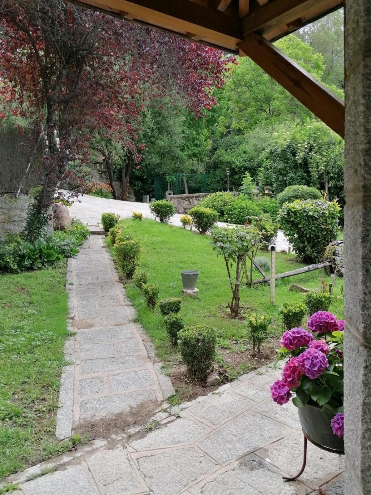 La casona de Mimi view 4