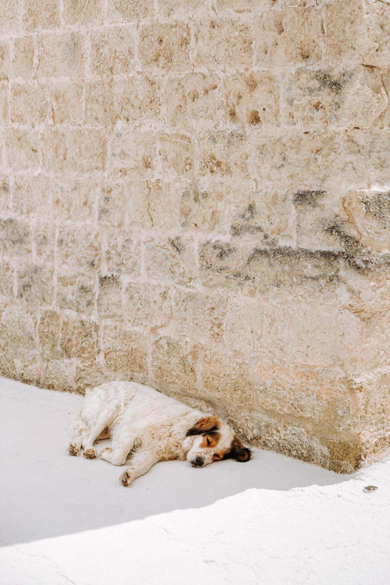 Masseria Garrappa