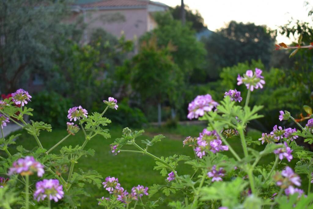 Villa Sunset Lefkas photo 3