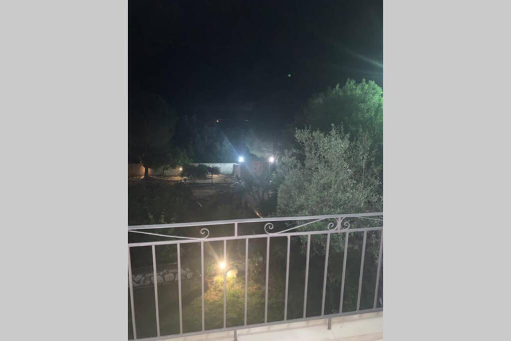 Photo 31