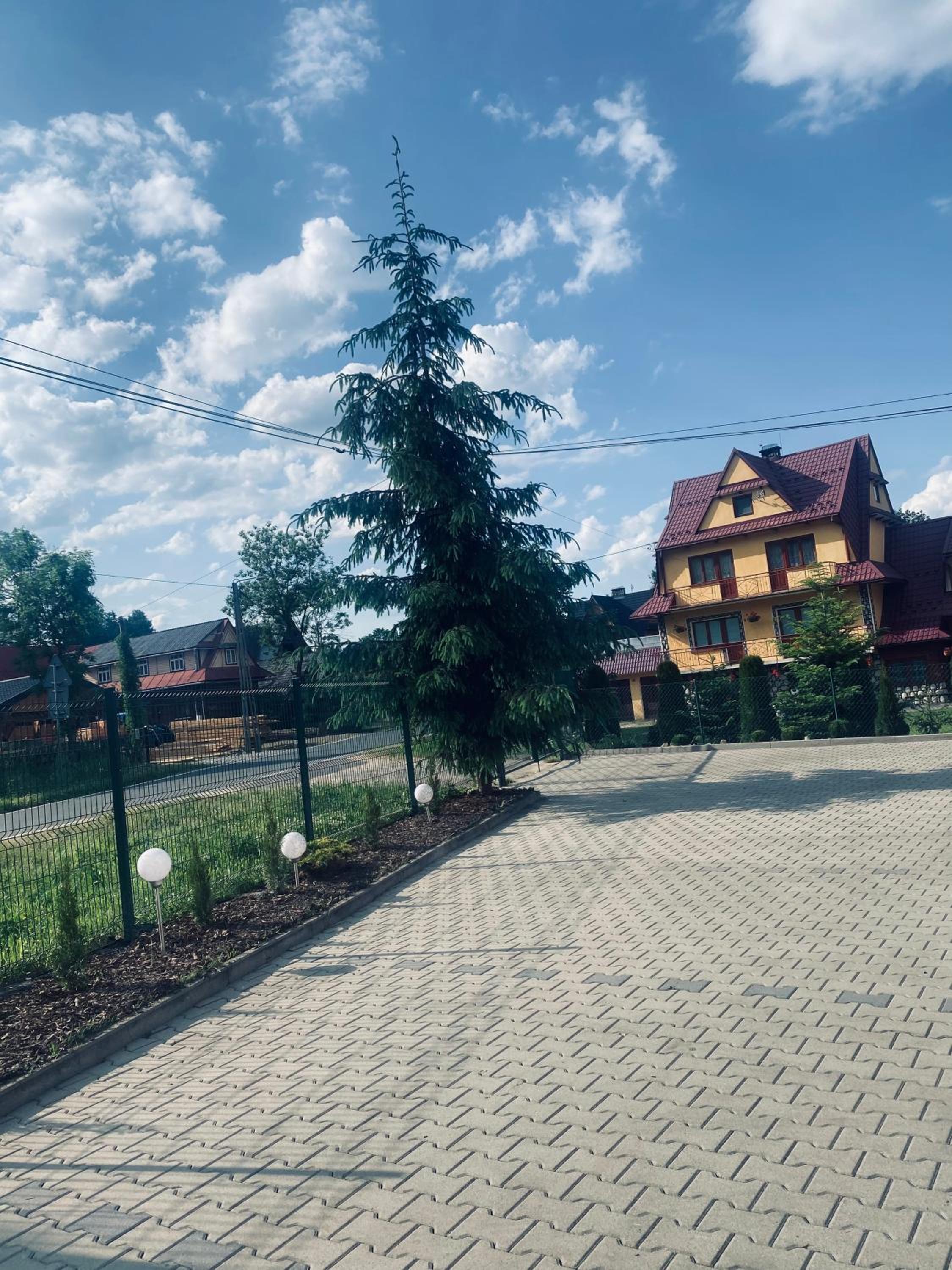 Photo 16