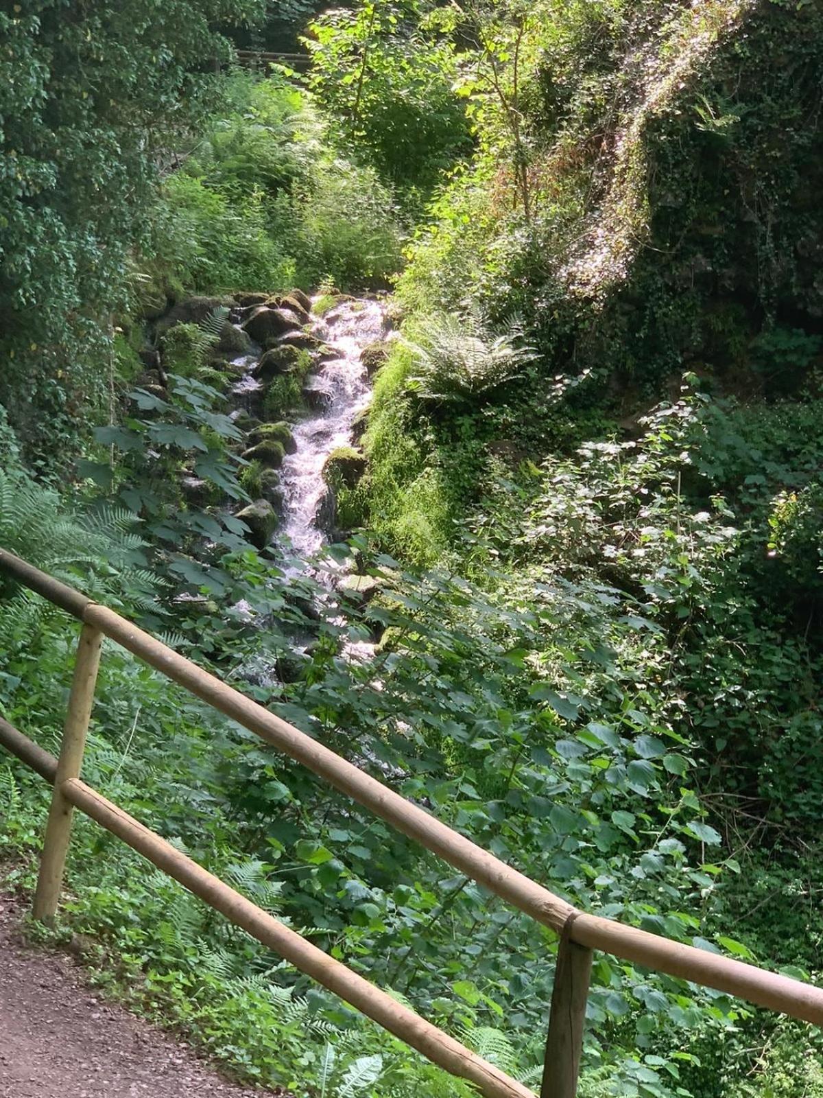 Photo 46