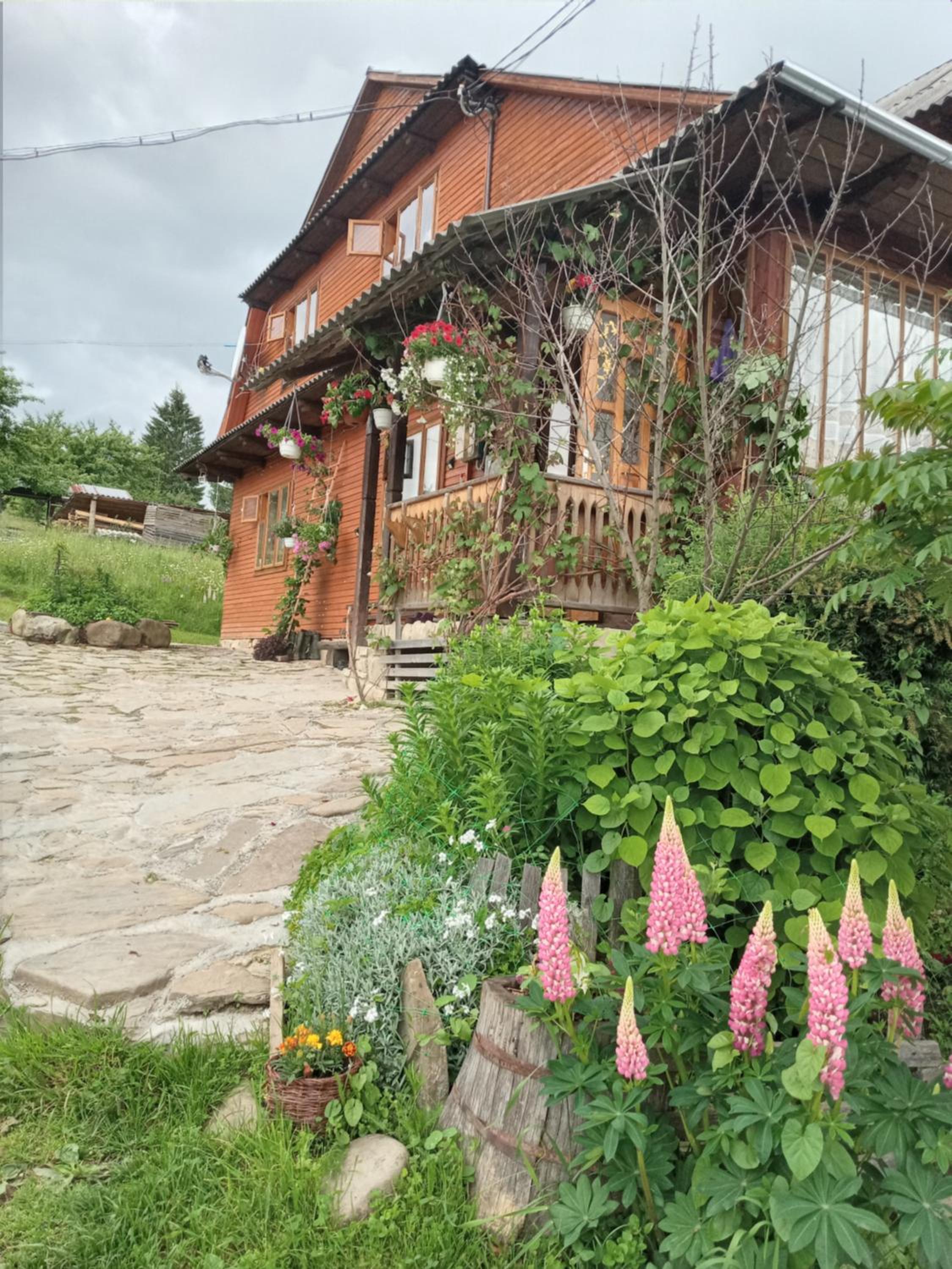 Na gorbochku u Natali view 2