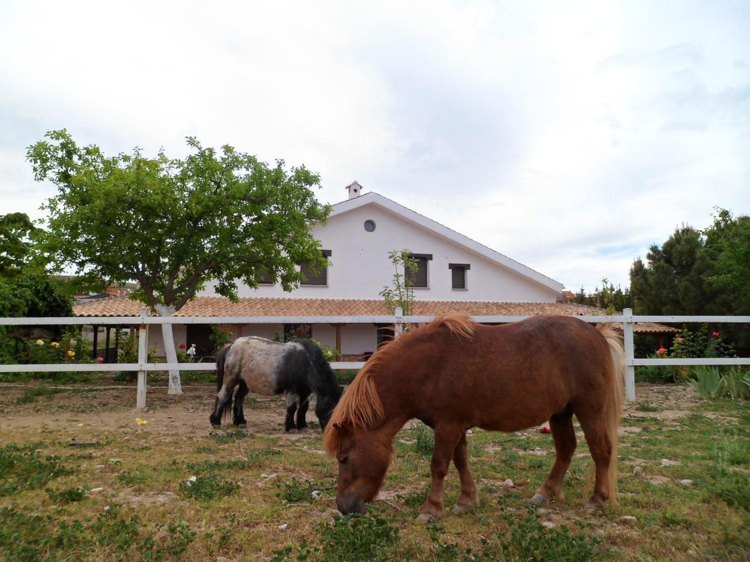 Los Laureles Casa Rural
