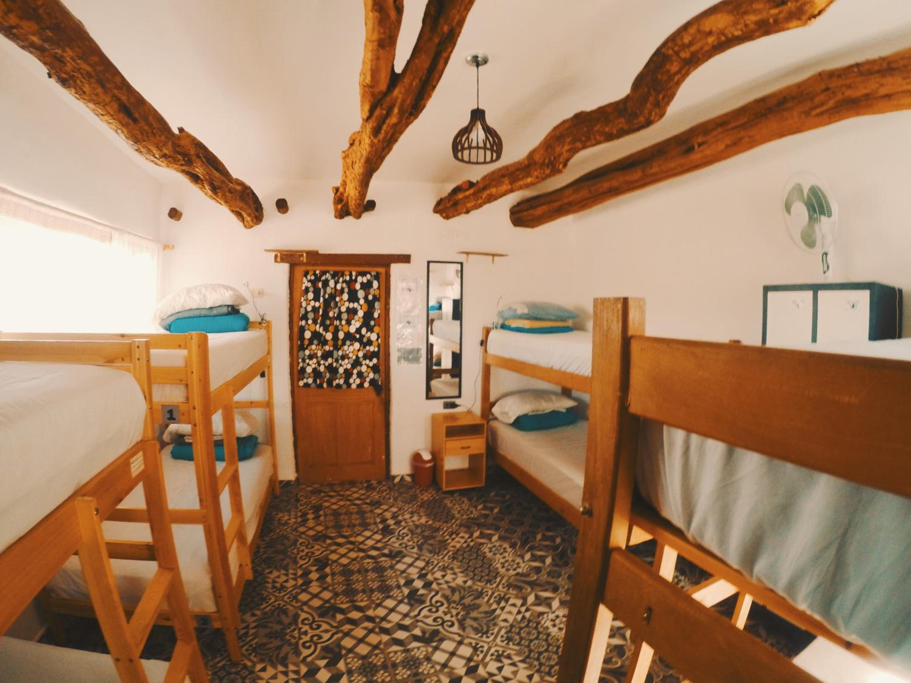 Rey Lagarto Hostel