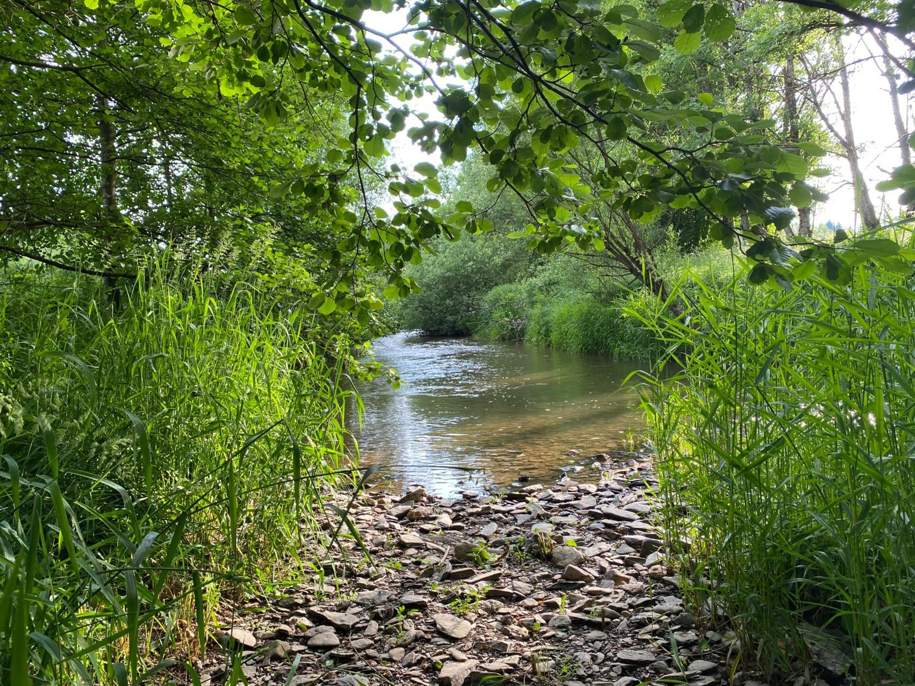 Le Scailleteux - Gîte de charme clôturé, accès à la rivière