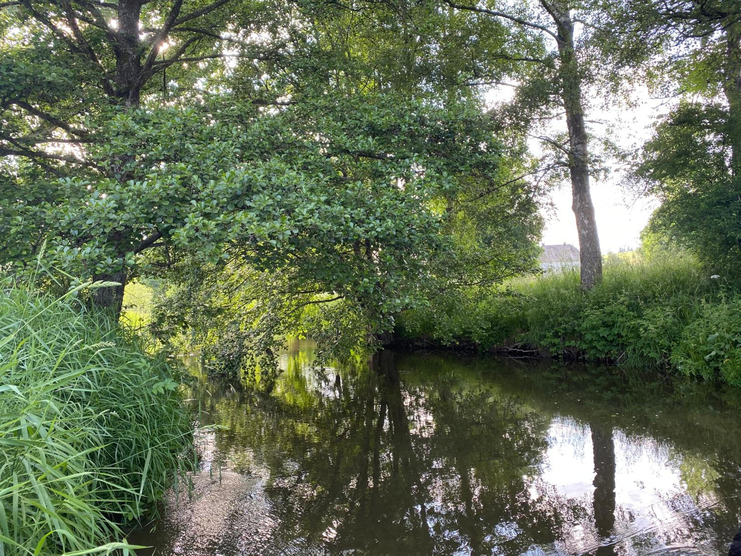 Le Scailleteux - Gîte de charme clôturé, accès à la rivière